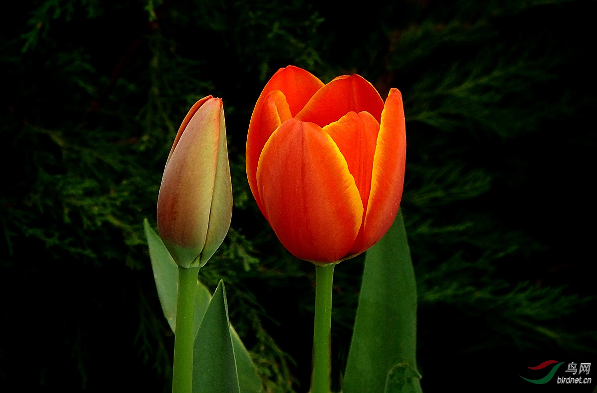 P3251961.jpg