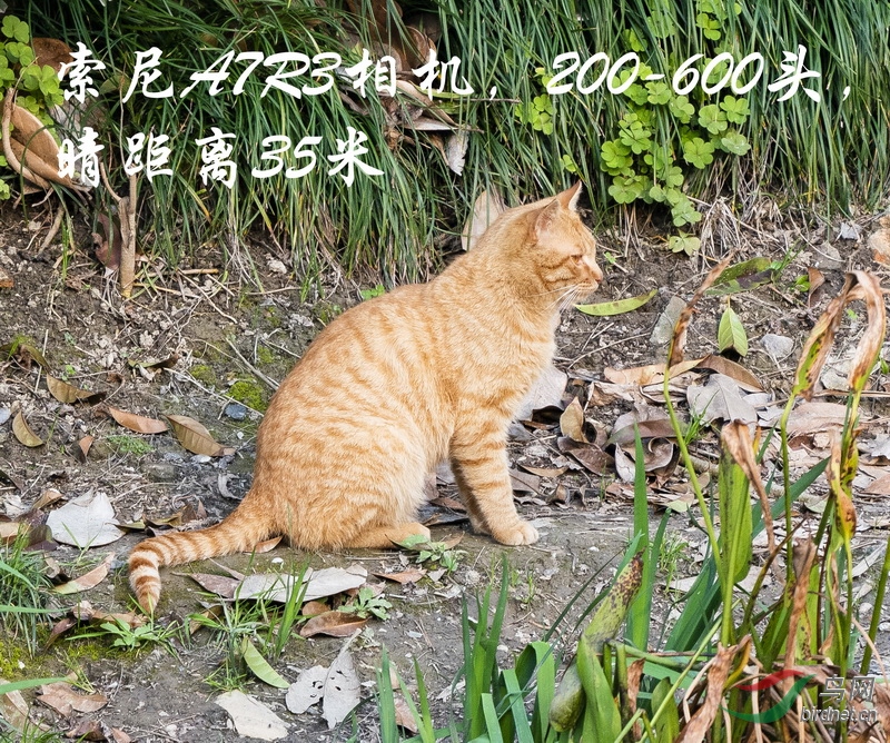 DSC04348����200-600������35��b_������С.jpg