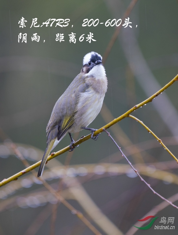 ����A7R3��200-600ͷ�����꣬6��b_������С.jpg