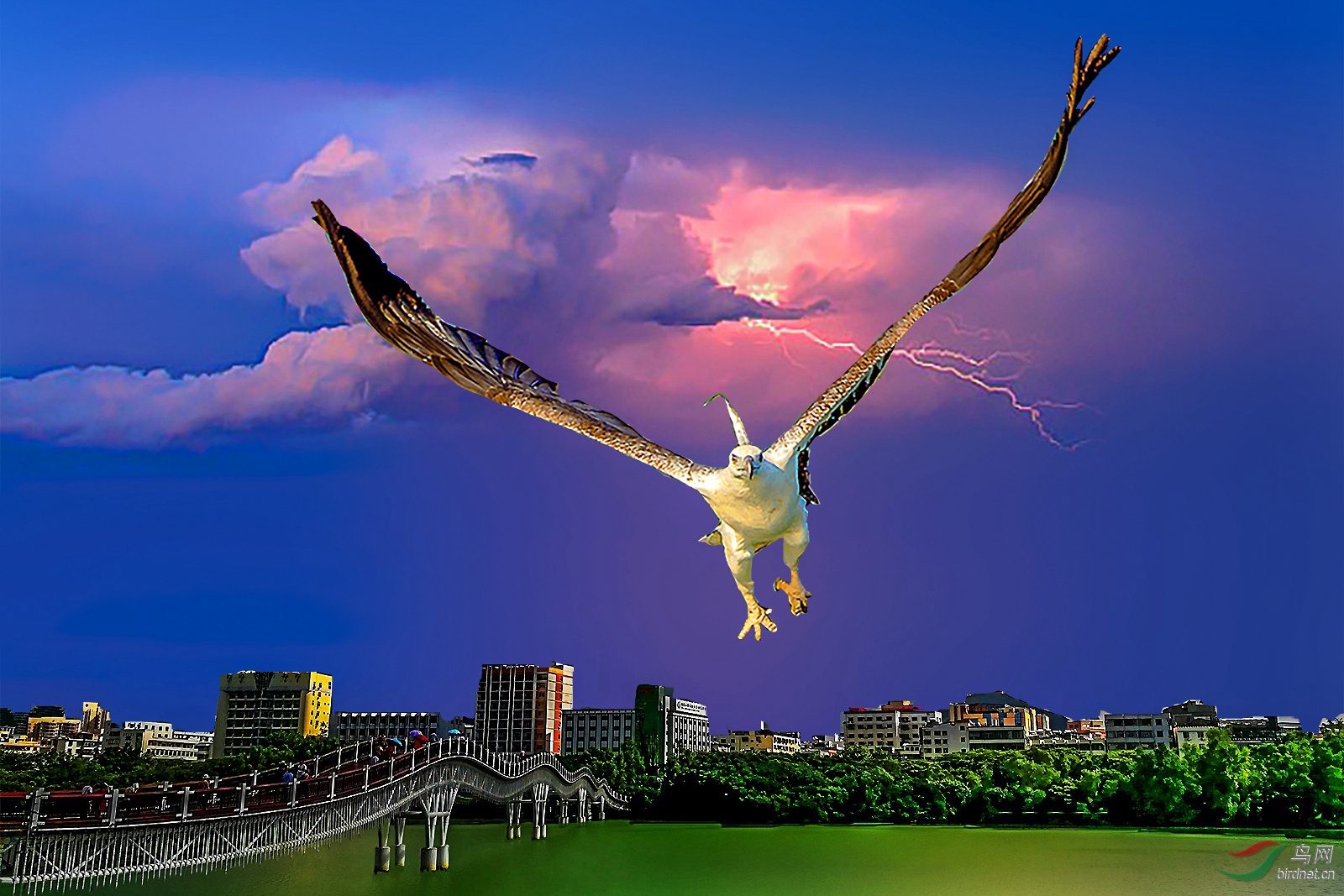 QJ6122011559_���� (2)_����.jpg