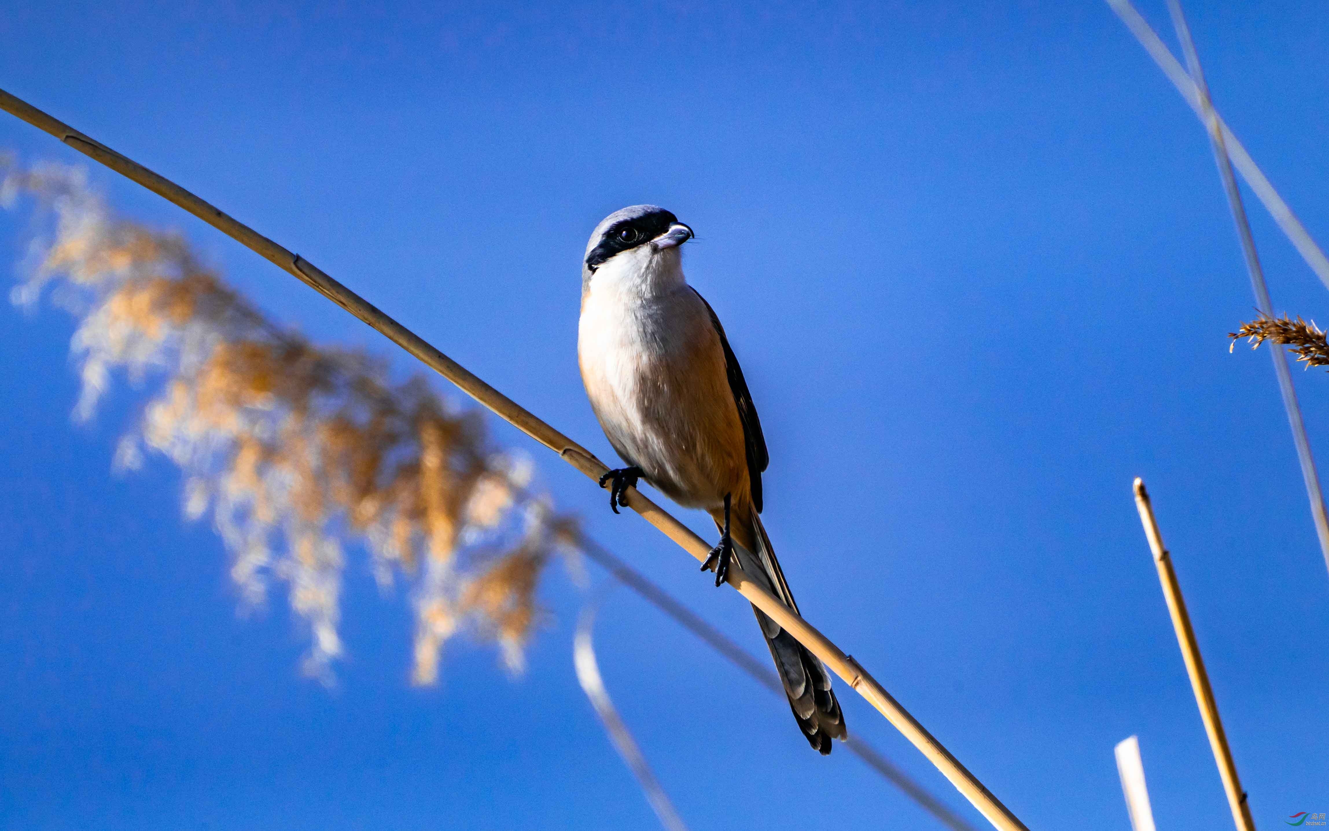 ISO640  F/13  1/1000 ��  ��2����