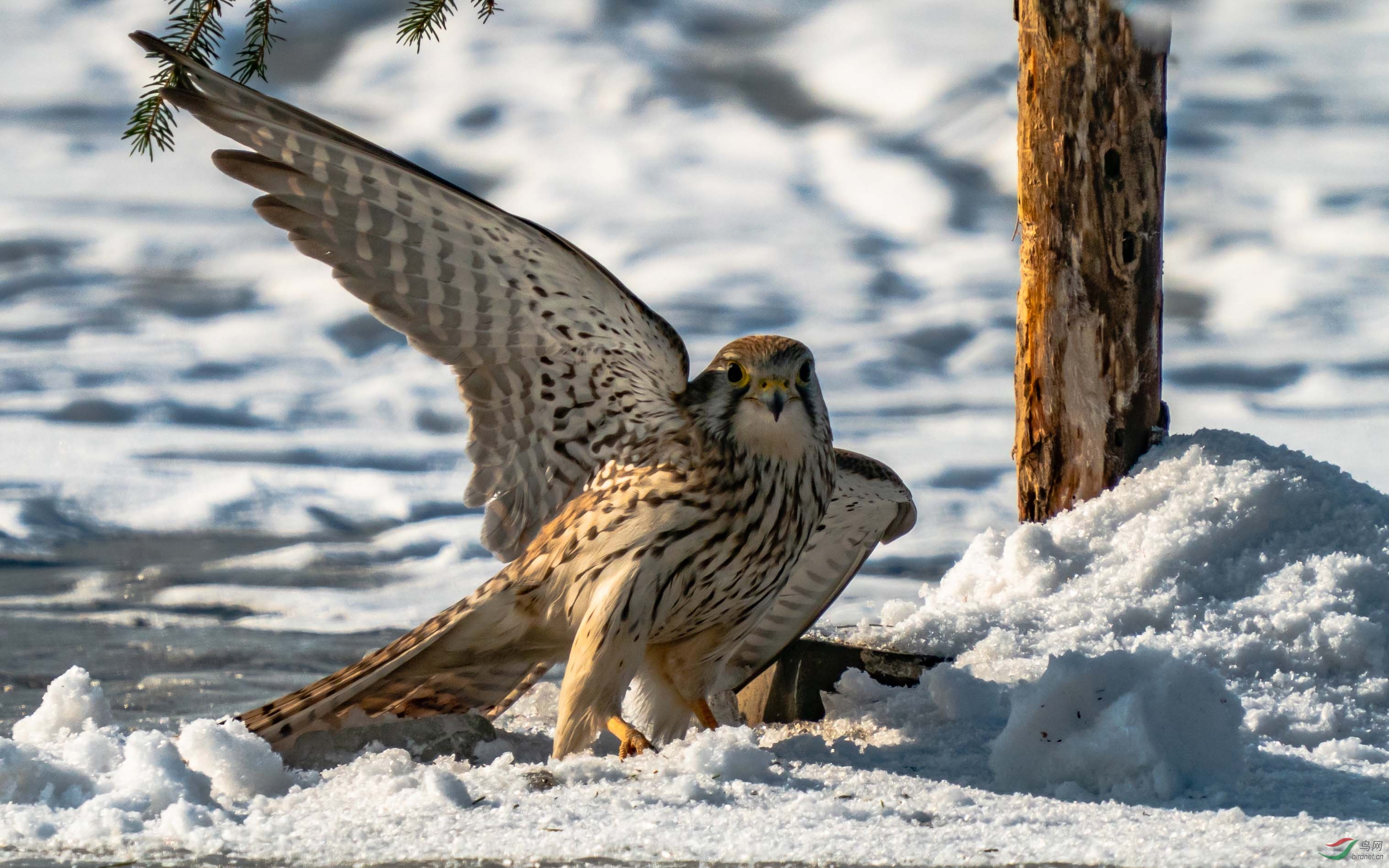 ISO640  F/13  1/1000 ��  ��2����