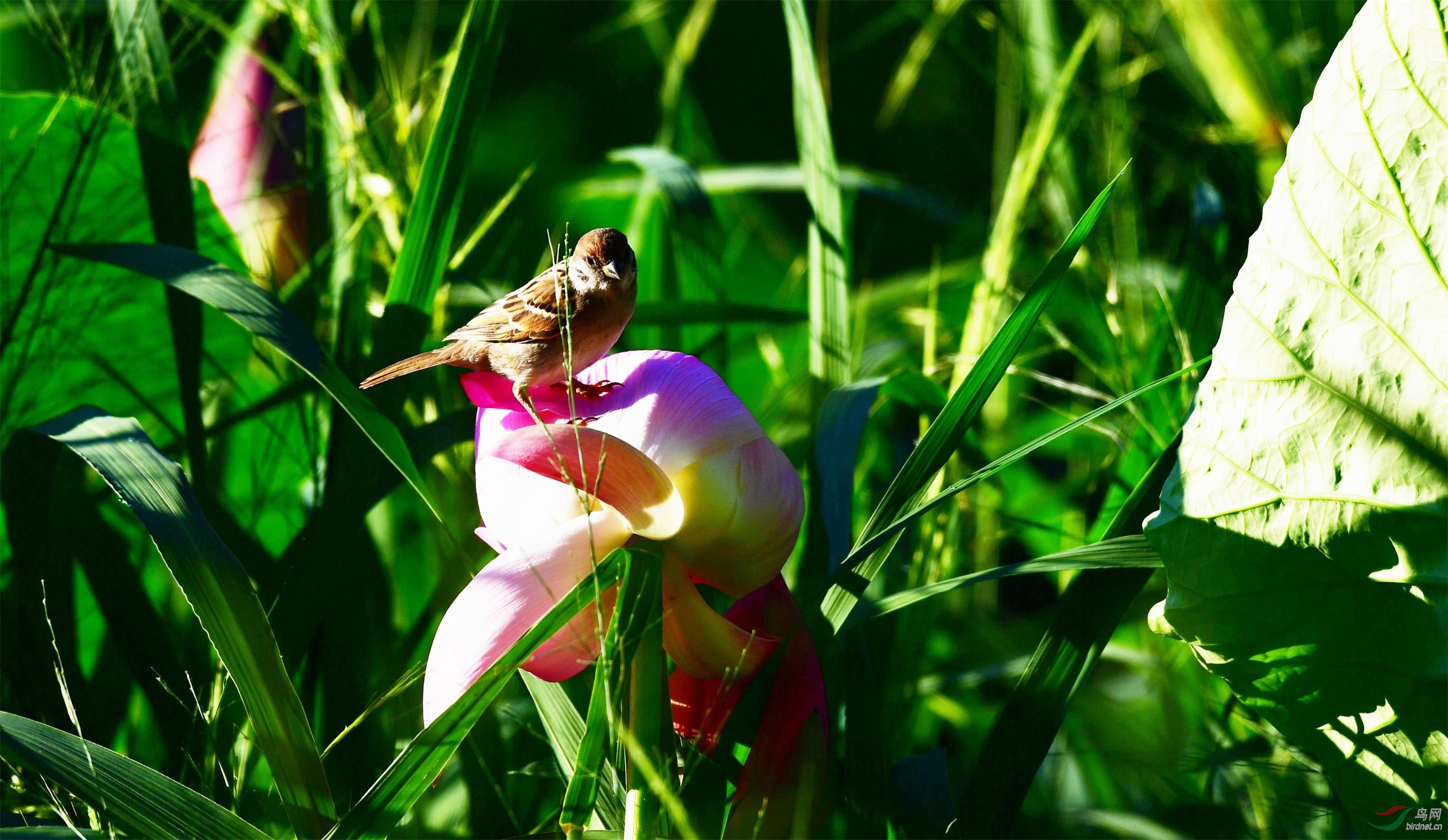DSC_8936_����.jpg