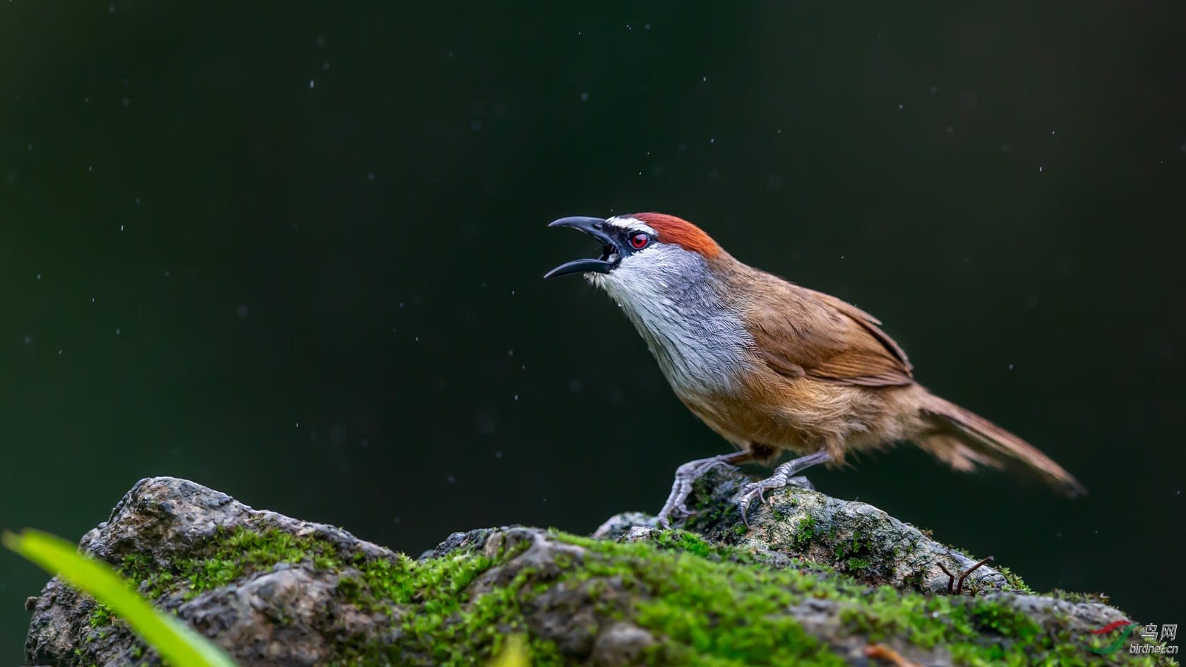 _J043433-1.jpg
