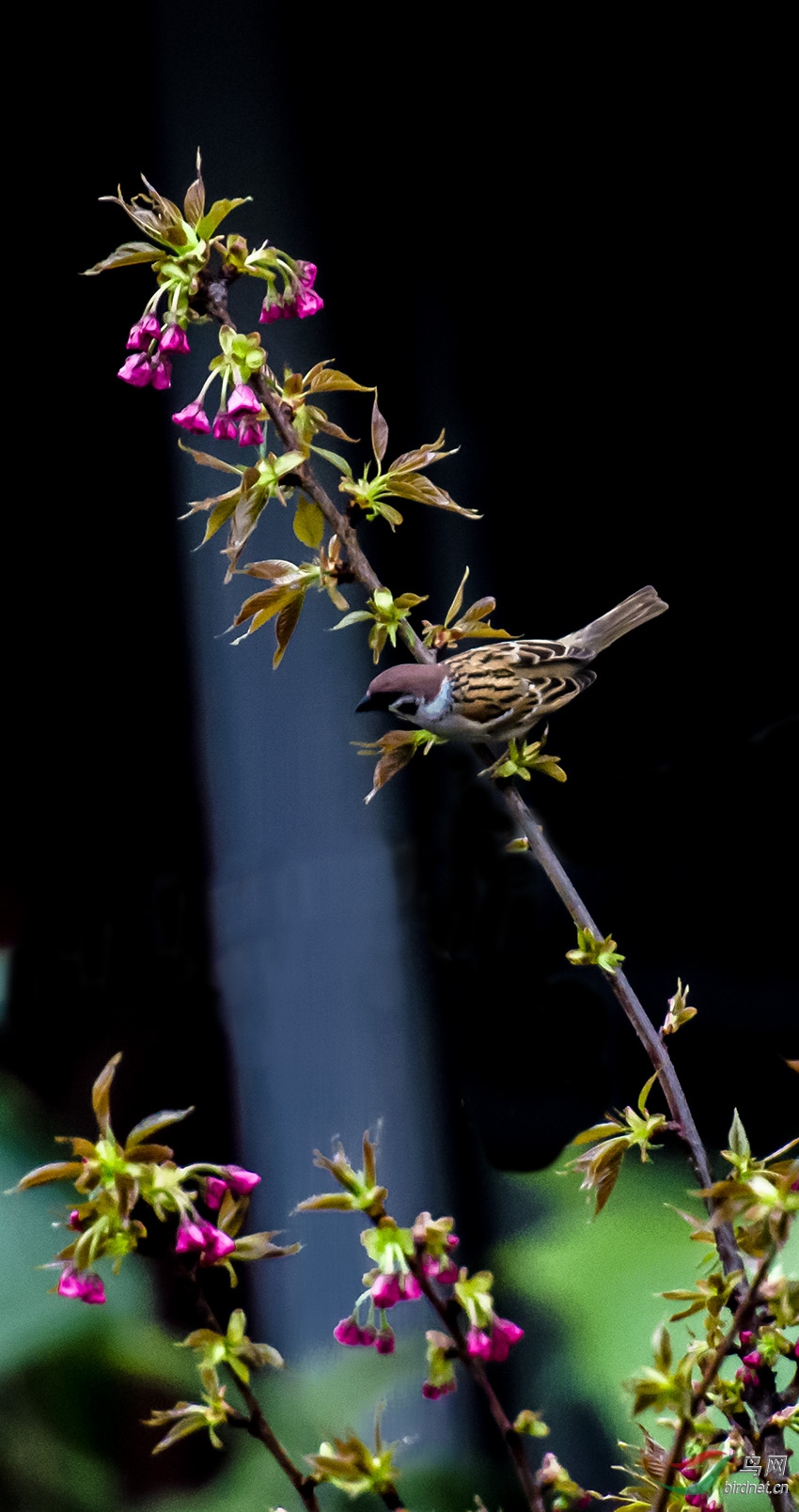 _DSC7105 ����.jpg