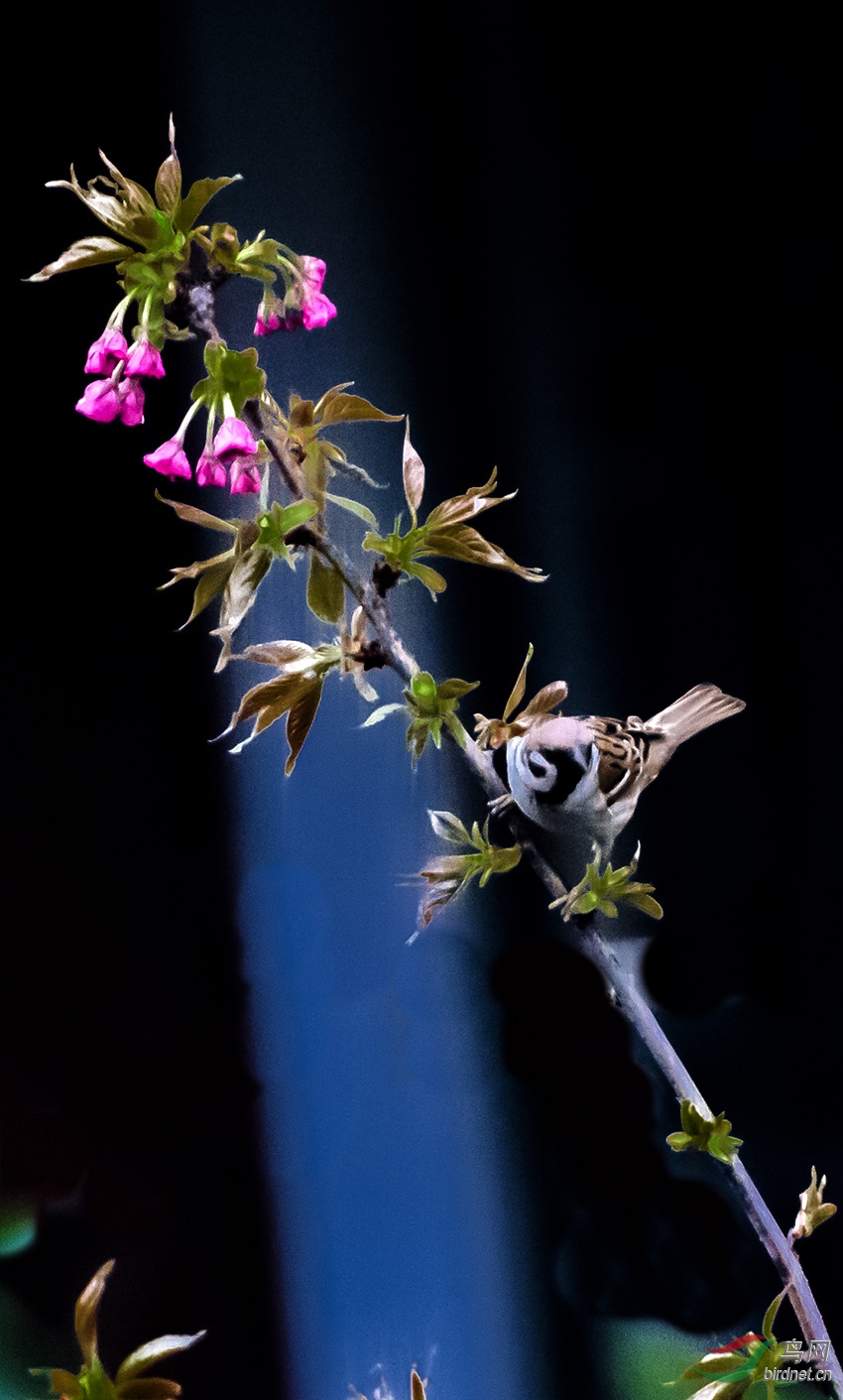 _DSC7104.jpg