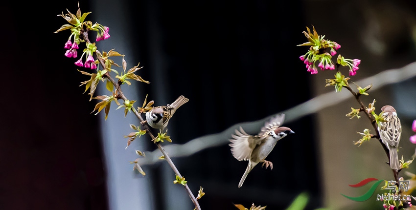 _DSC7103 ����.jpg