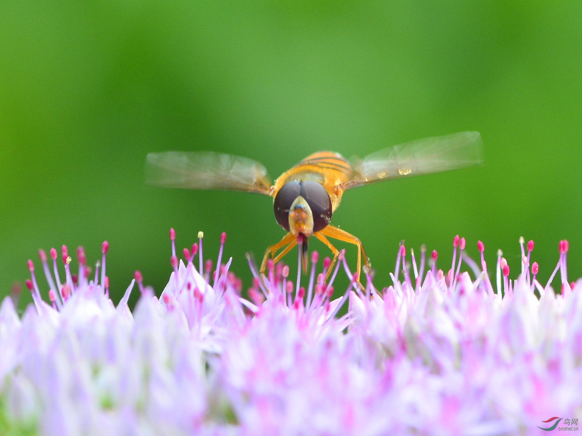 ������Ӱ 2825����.jpg