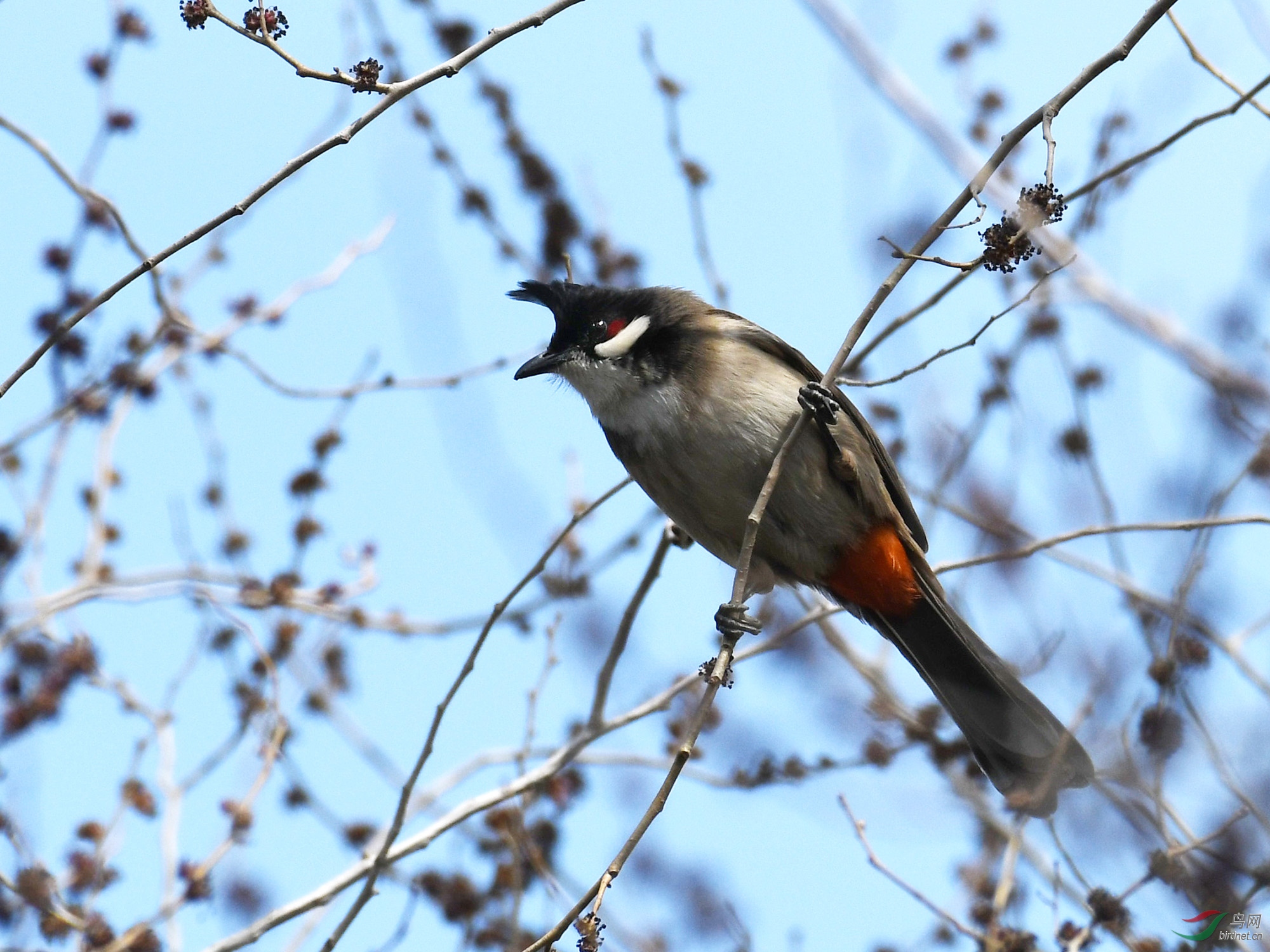 ������Ӱ 297����.jpg