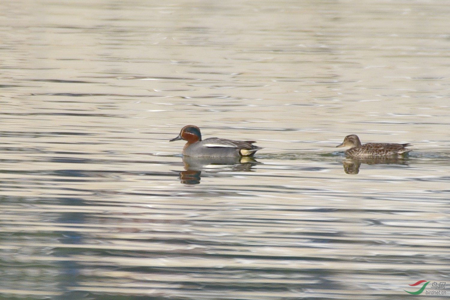DSC_3383.JPG