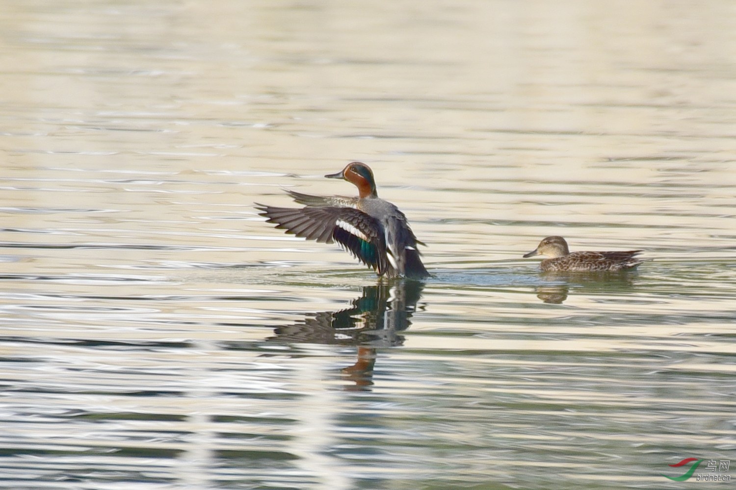DSC_3385.JPG