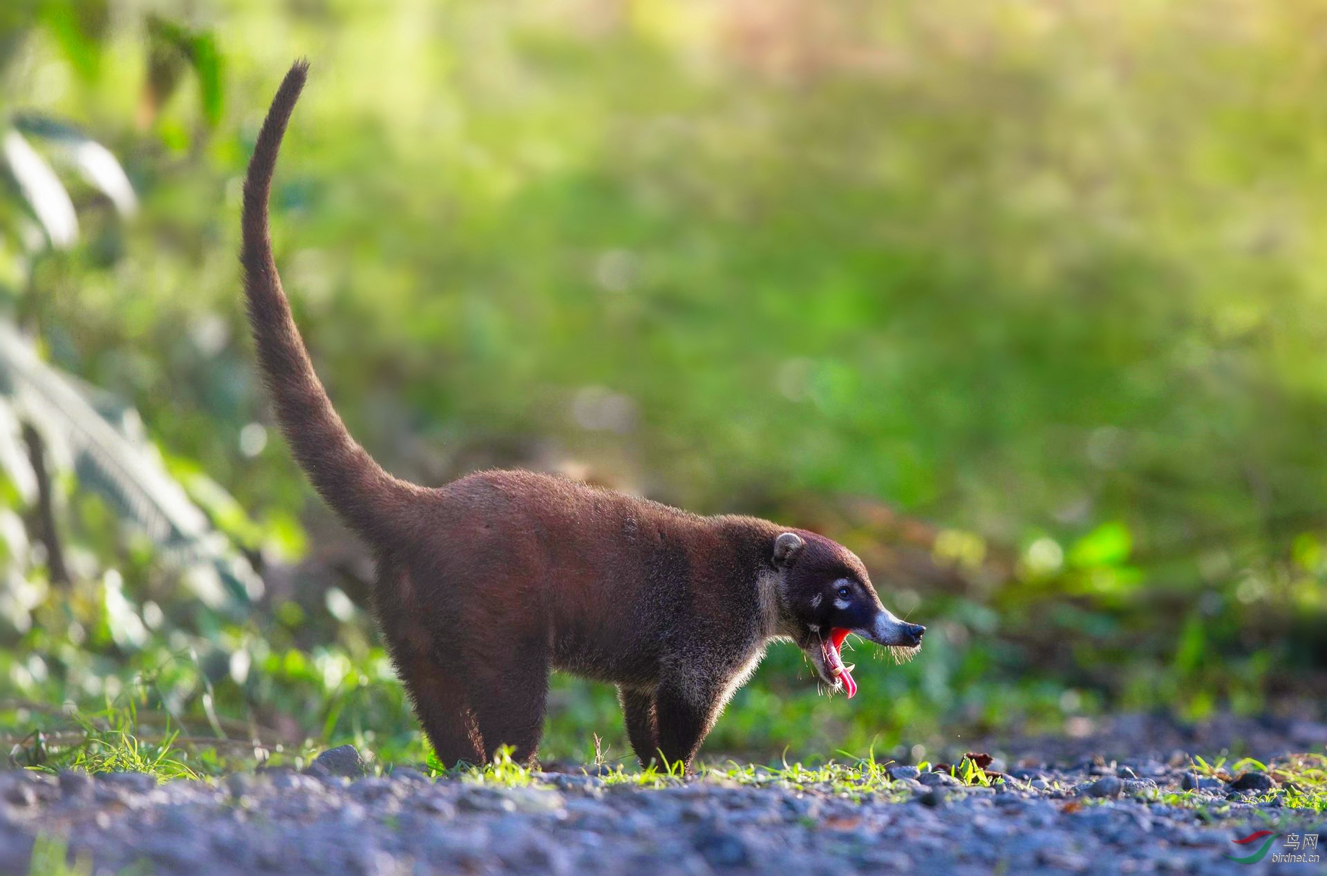 �ױ���� (2)_����.jpg