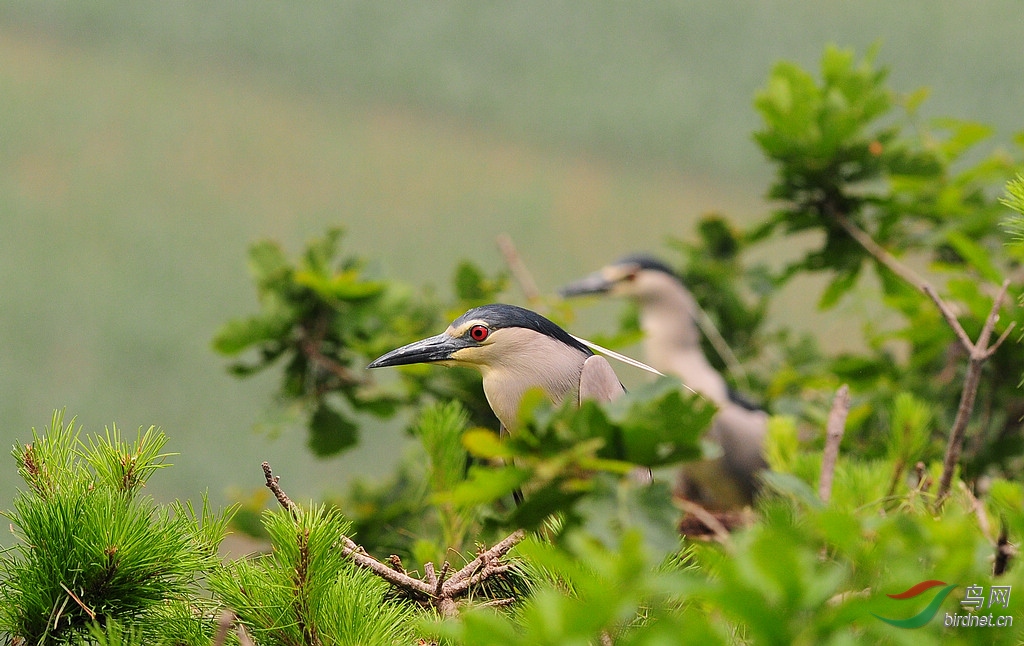 DSC_0174.jpg