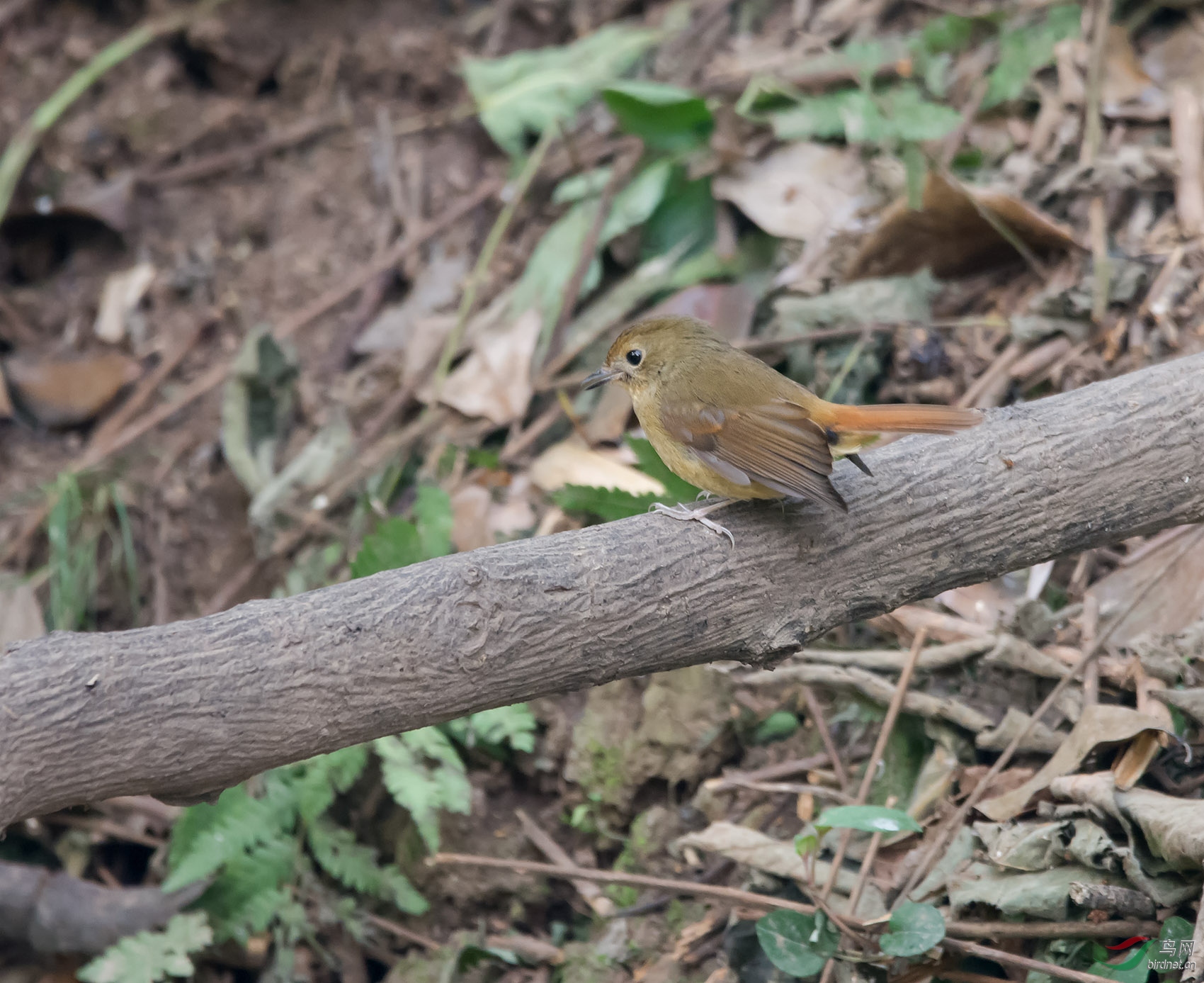 DSC_5672.jpg