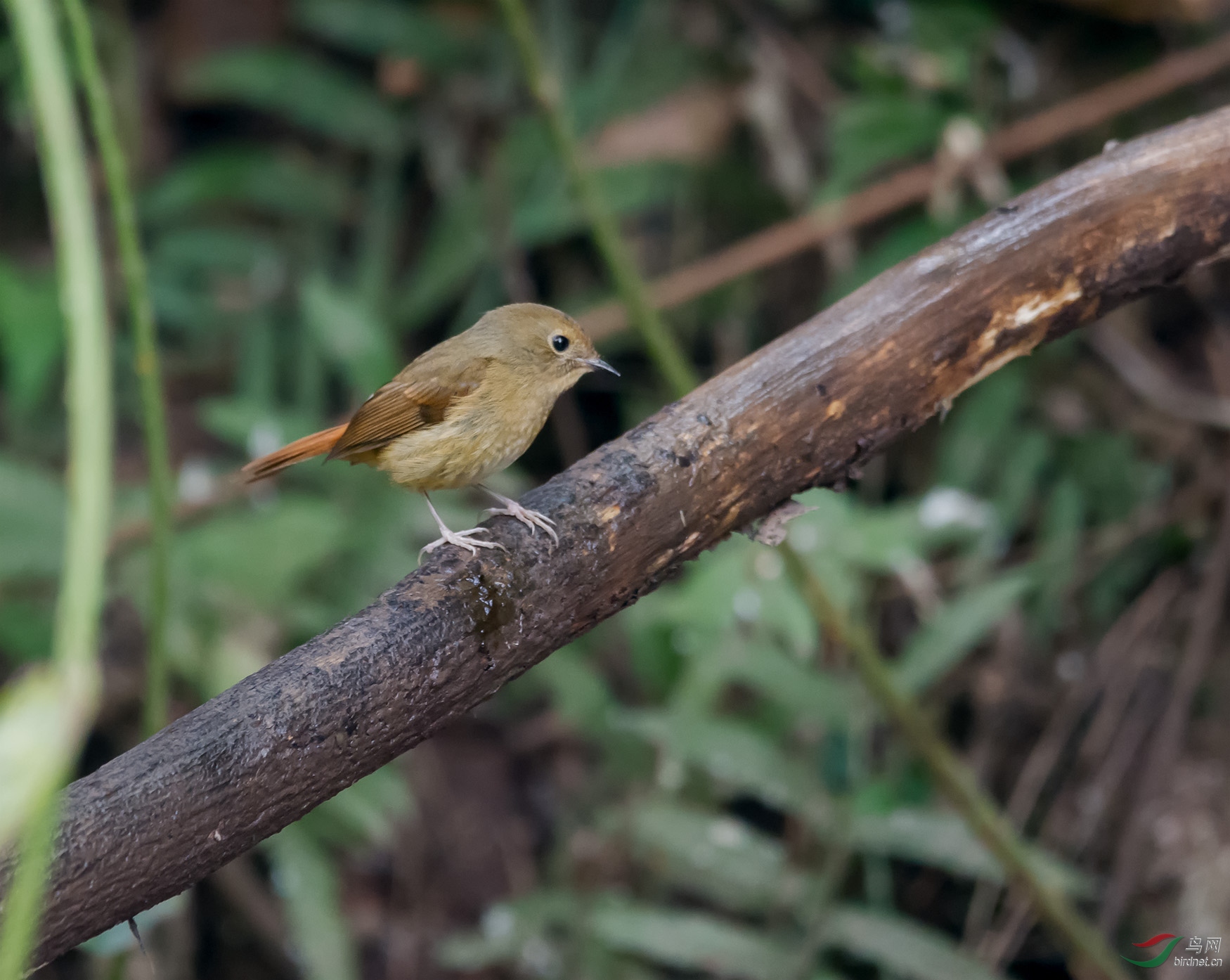 DSC_5910.jpg
