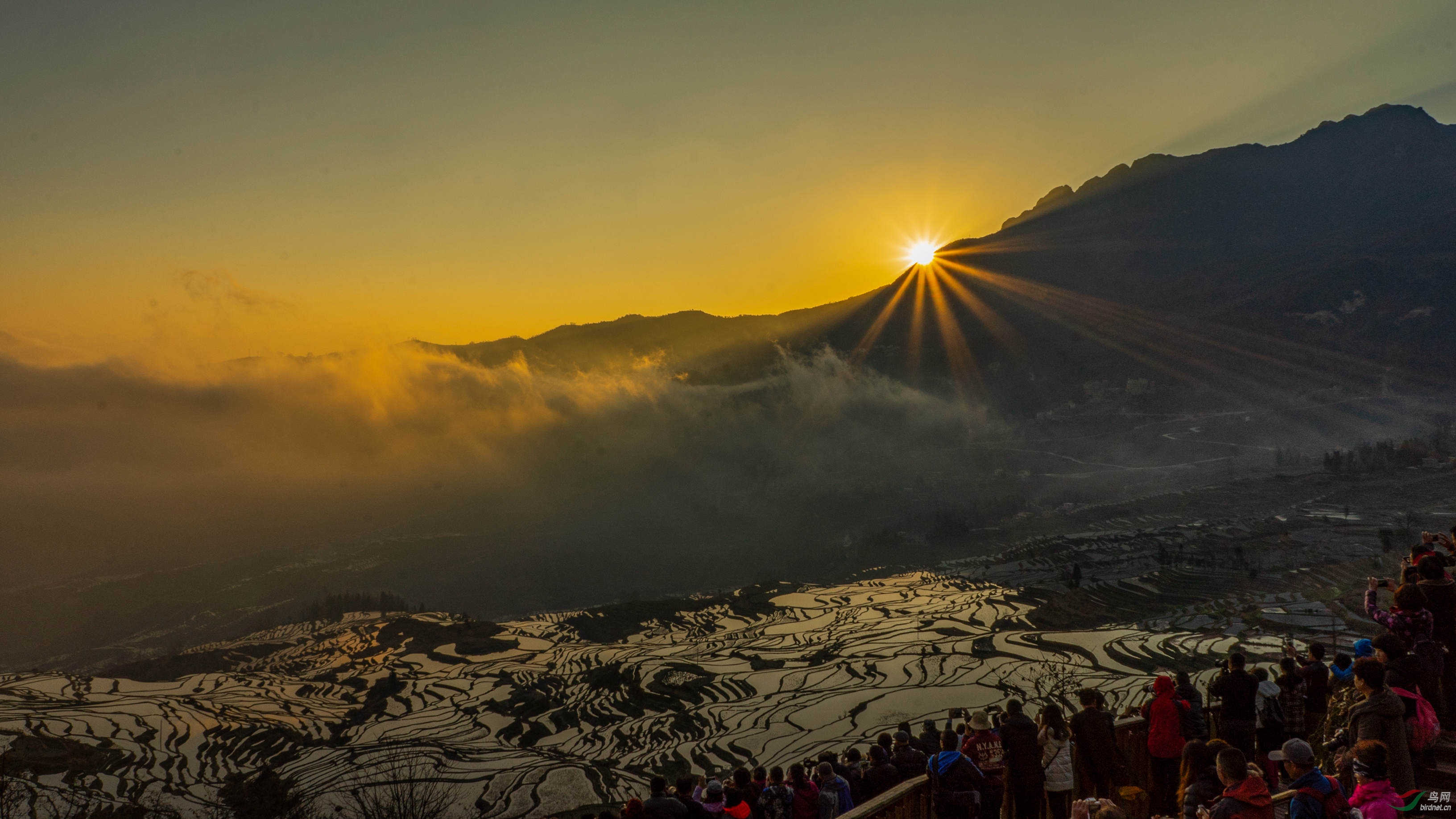 元阳日出