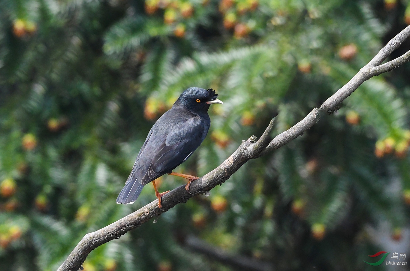 DSC_3901.JPG