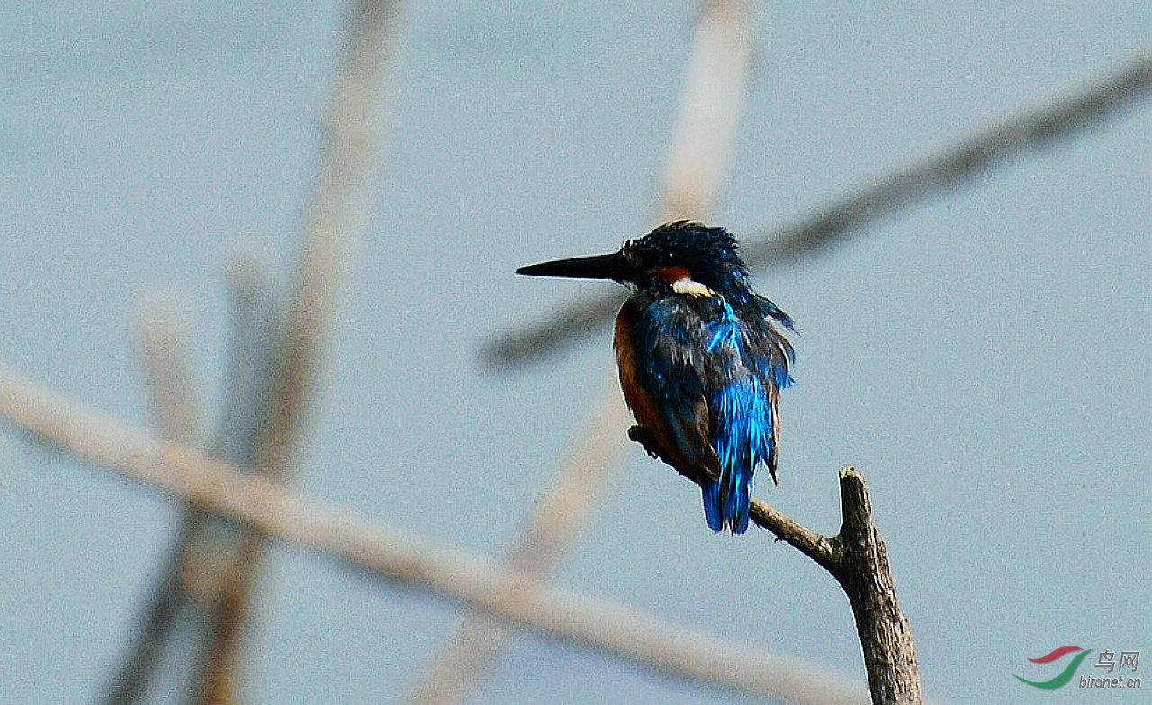 DSC_5883.JPG