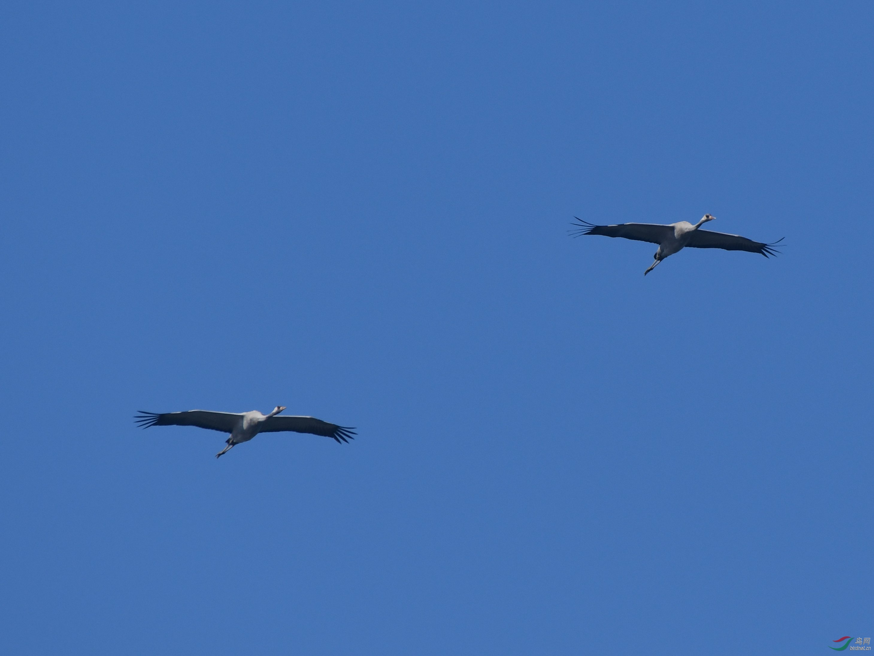DSC_3671_����.jpg