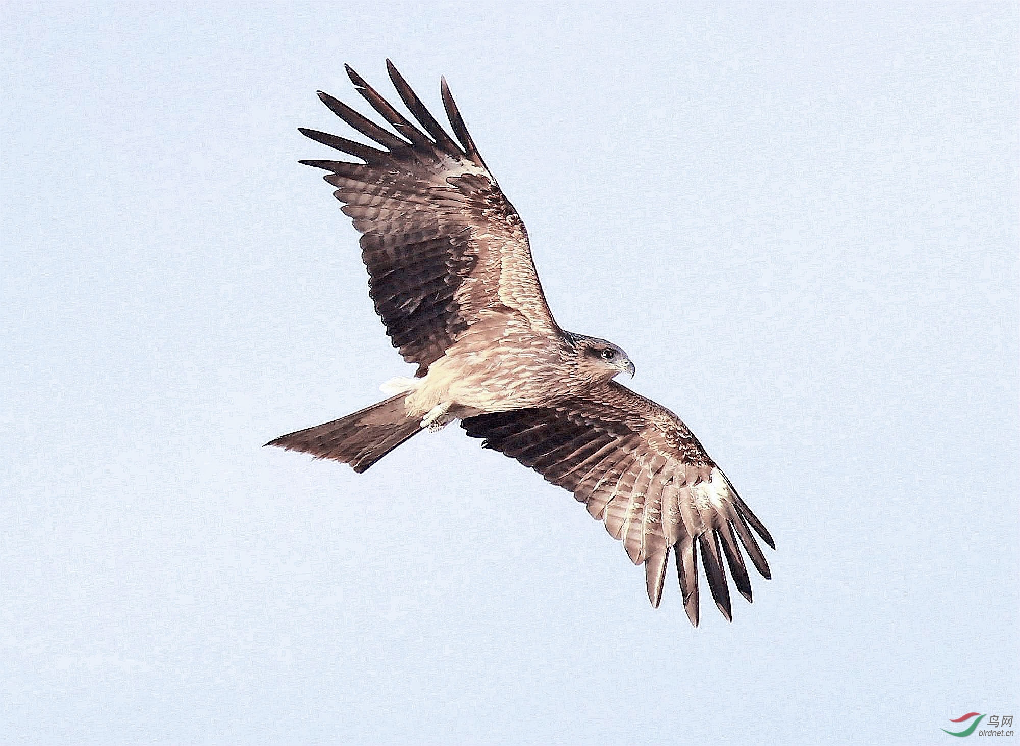 AK2Y0426_2000 (2).jpg