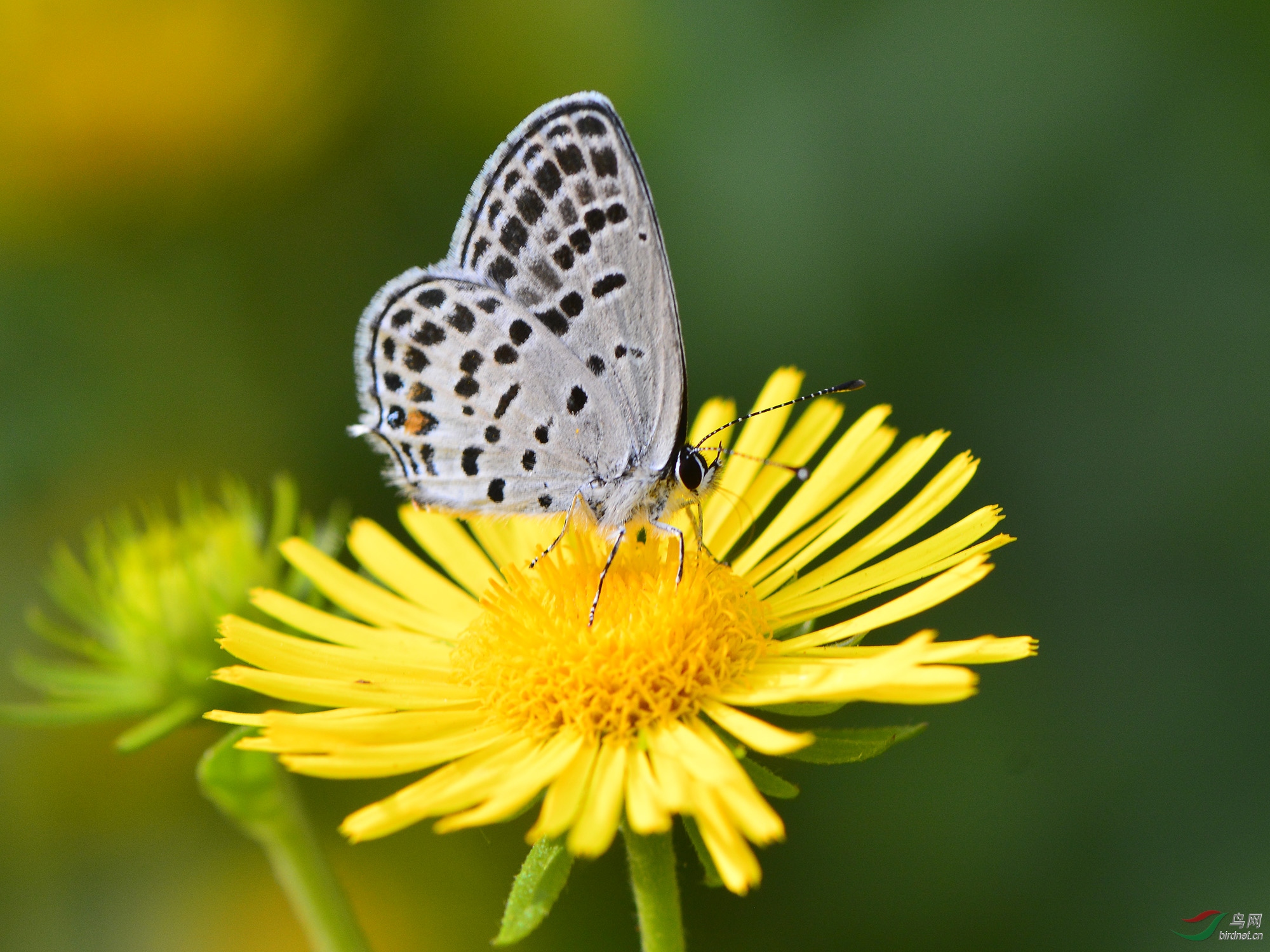 ������Ӱ 1618����.jpg