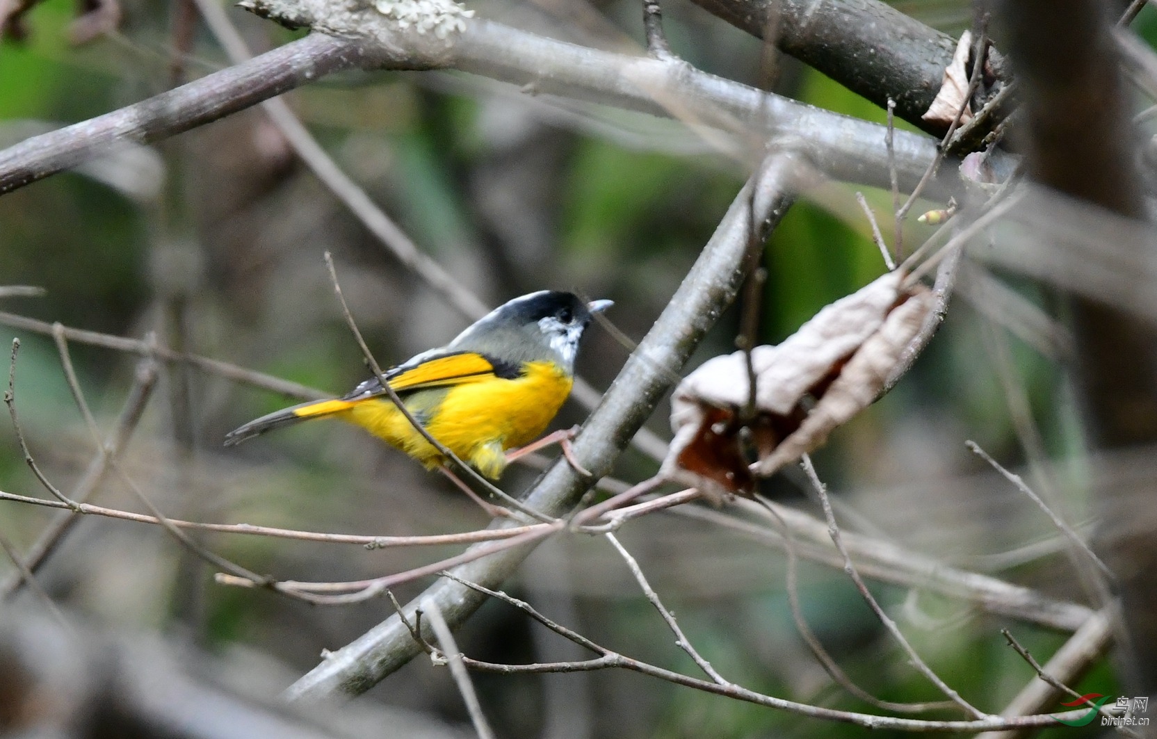 ����Ұ������ ����ȸ�� (2).JPG