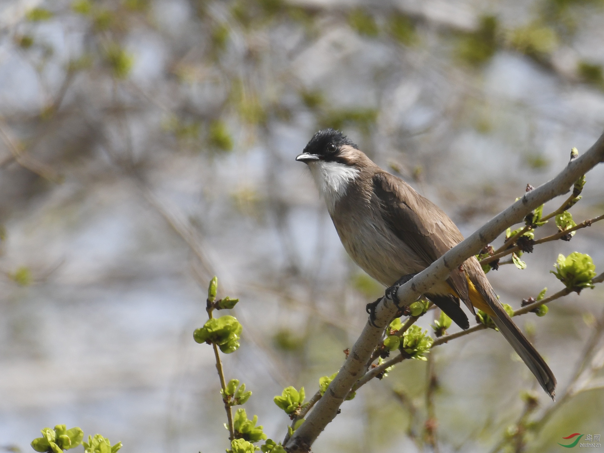 ������Ӱ 668����.jpg