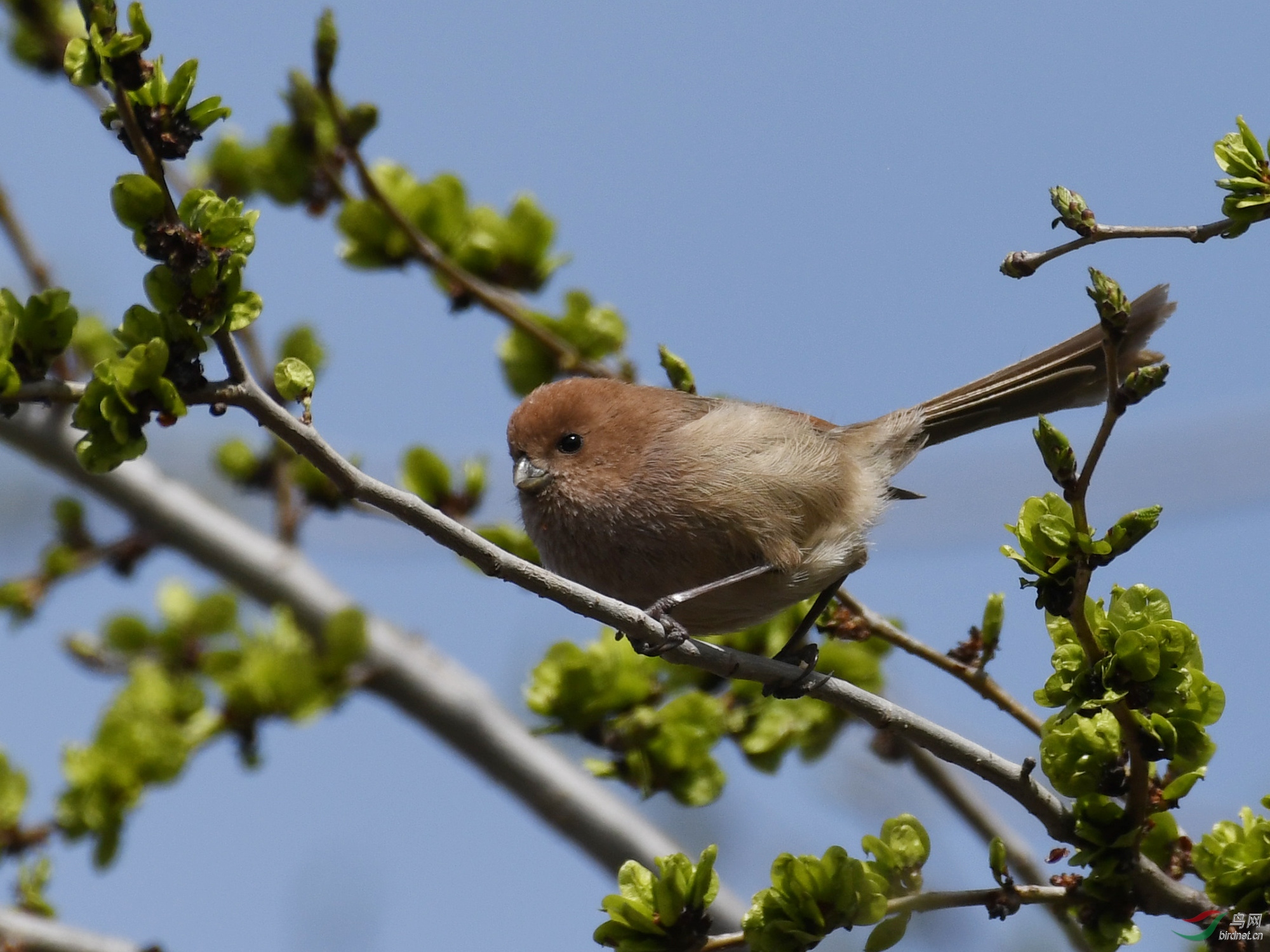 ������Ӱ 856����.jpg