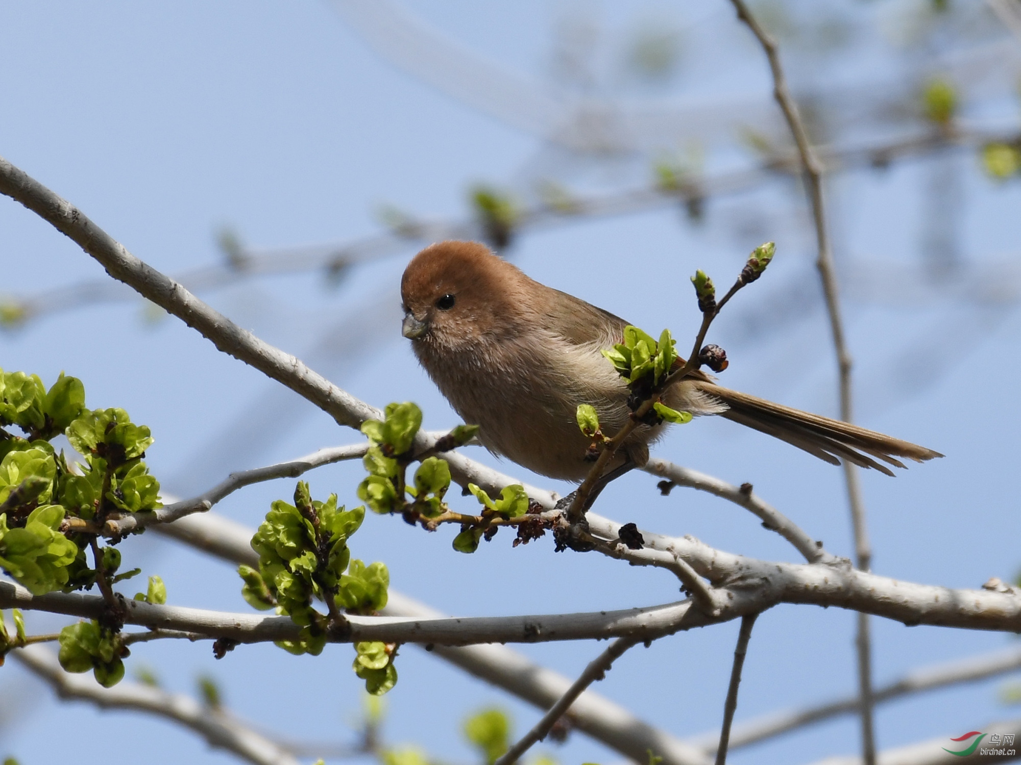 ������Ӱ 813����.jpg