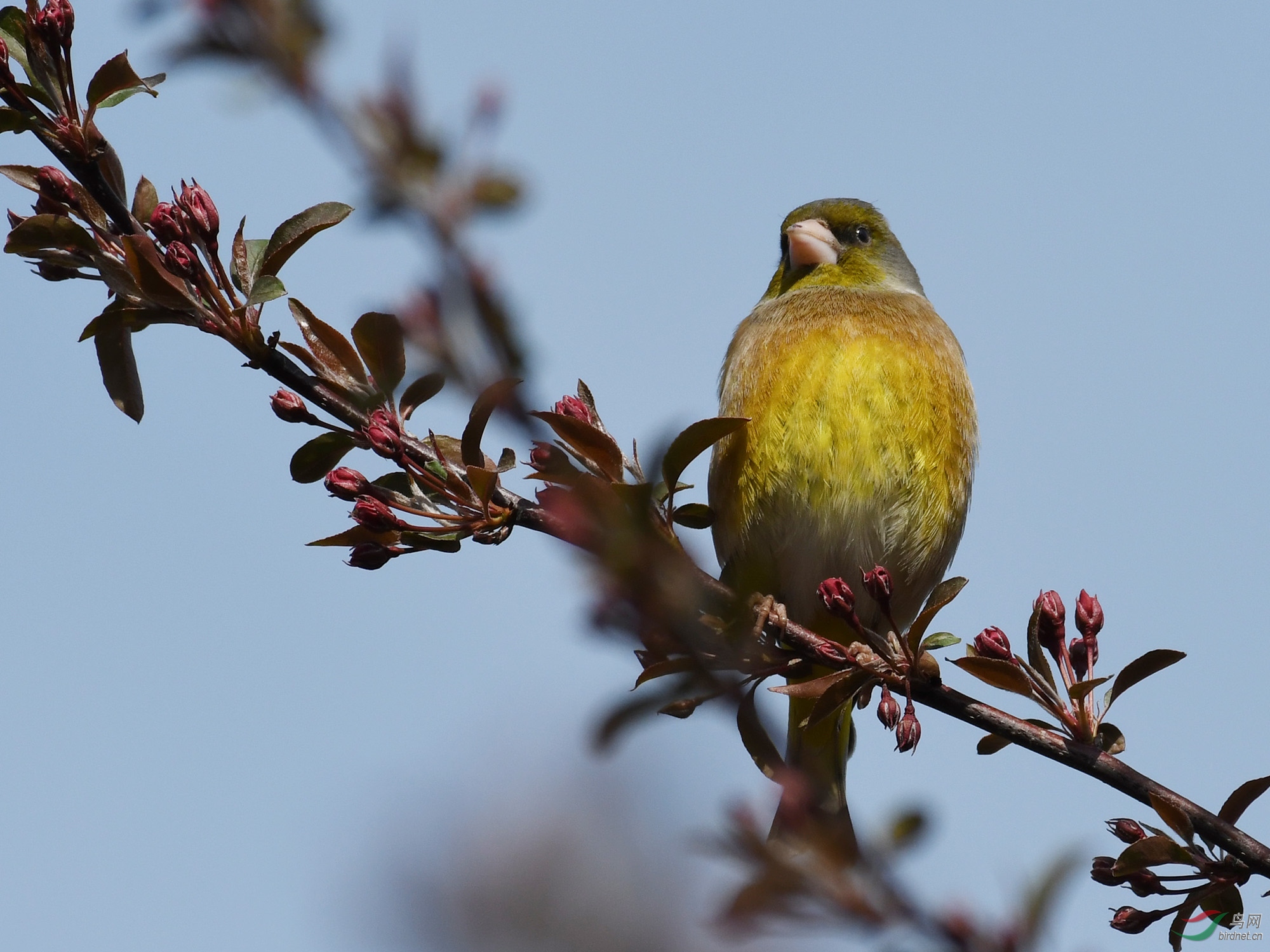 ������Ӱ 242����.jpg