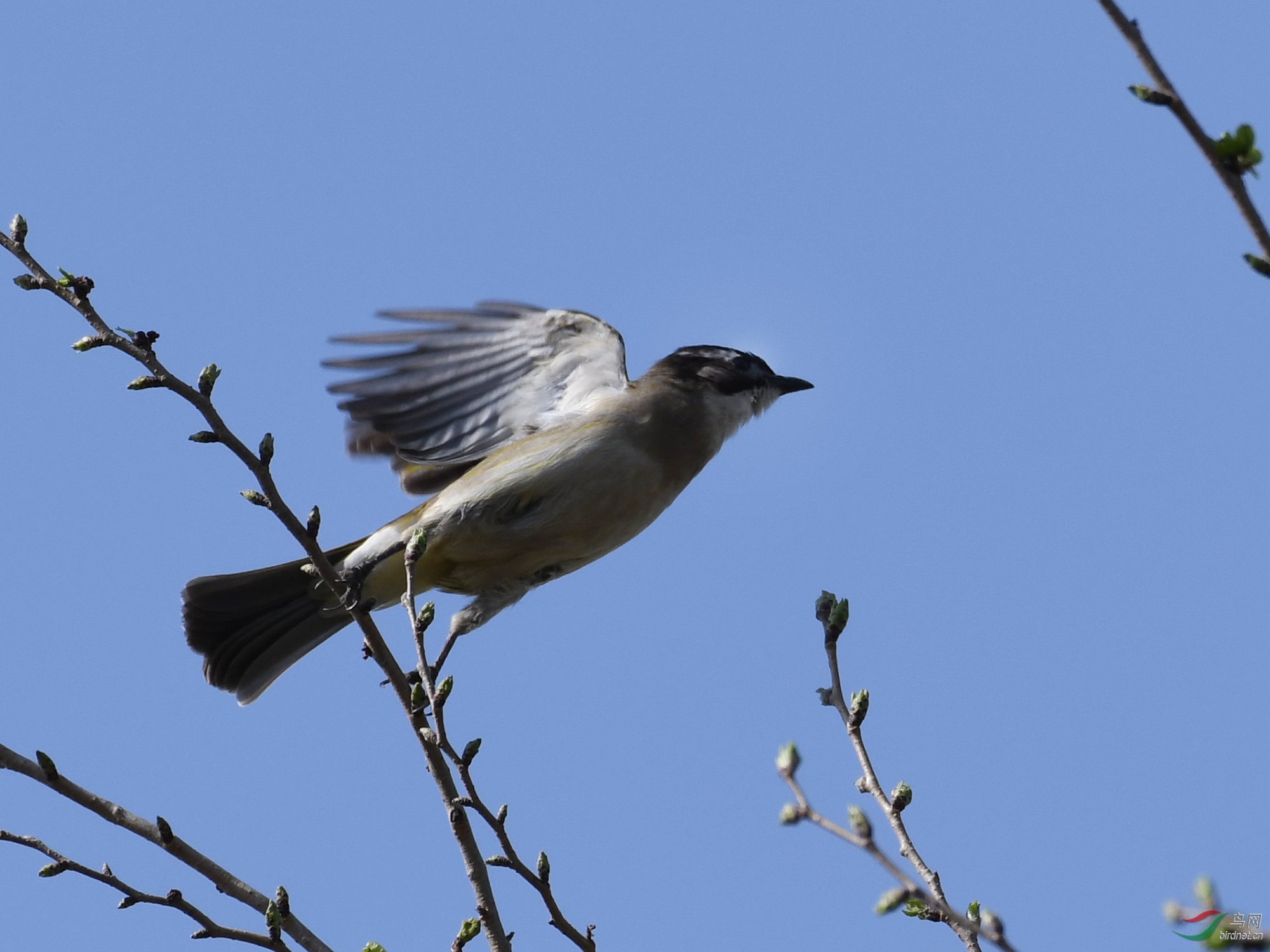 ������Ӱ 150����.jpg