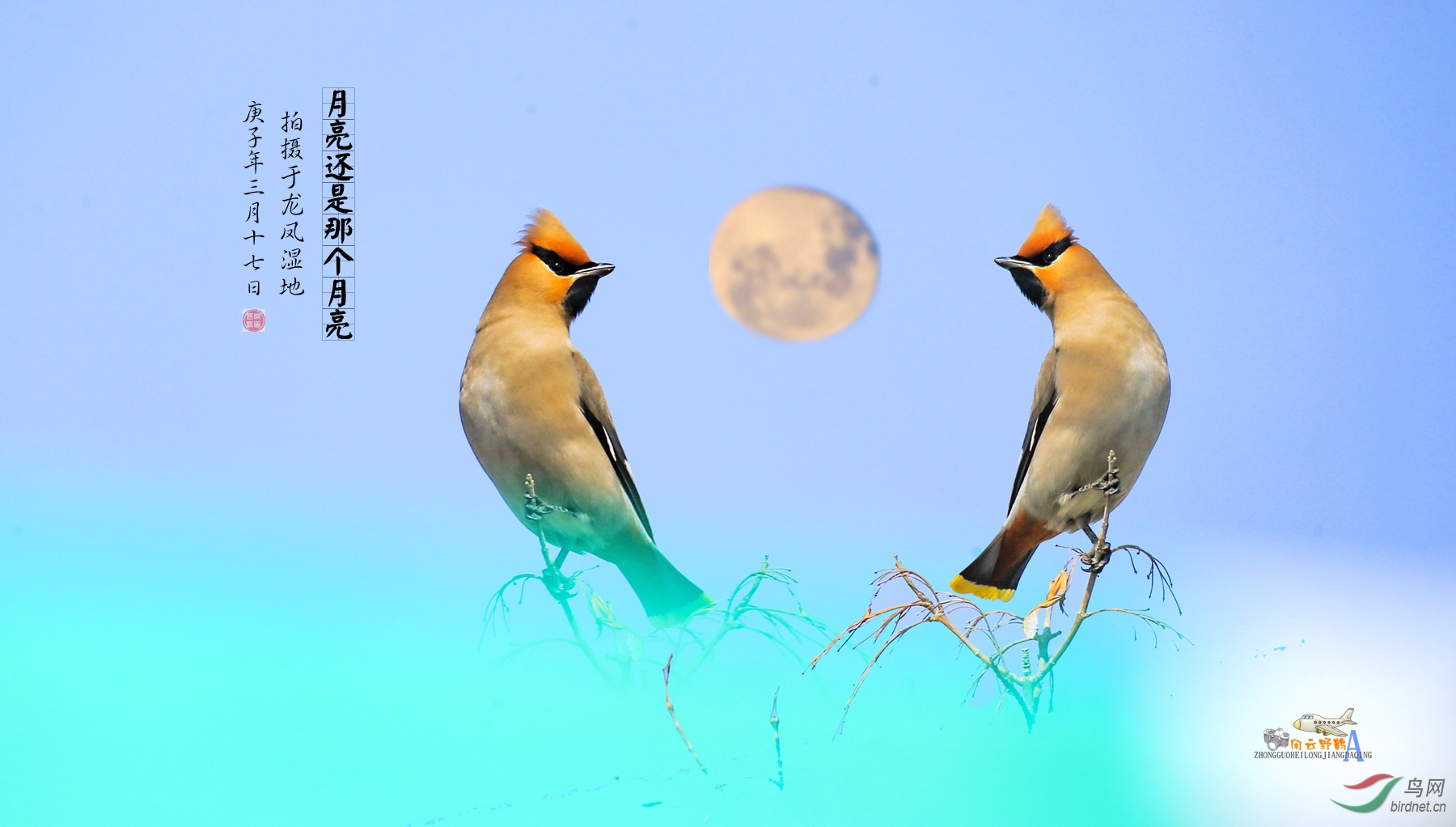 ������ (1).jpg