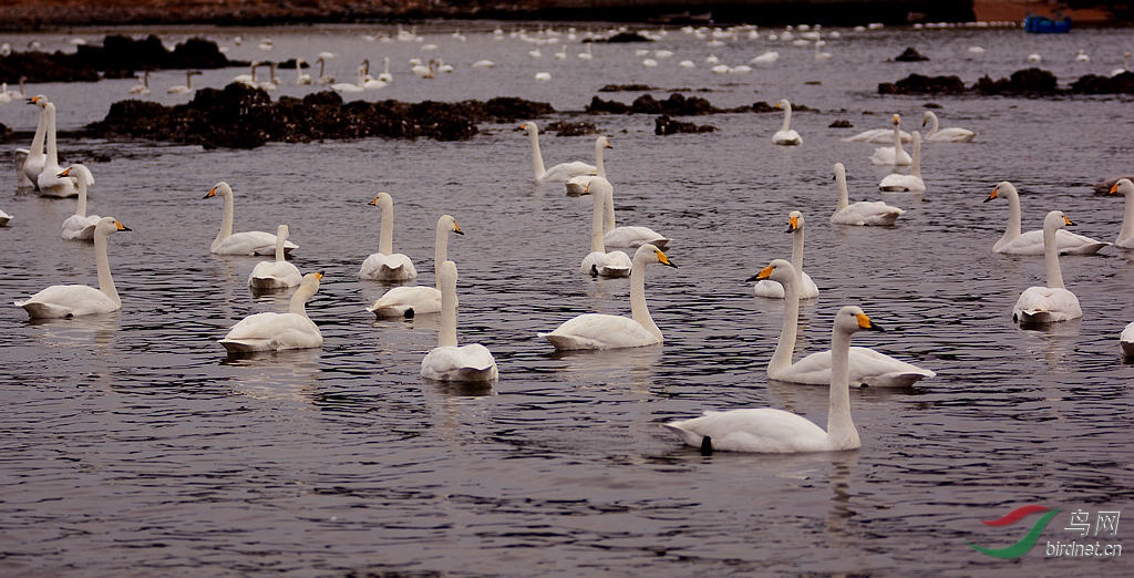 DSC_6120  33.jpg