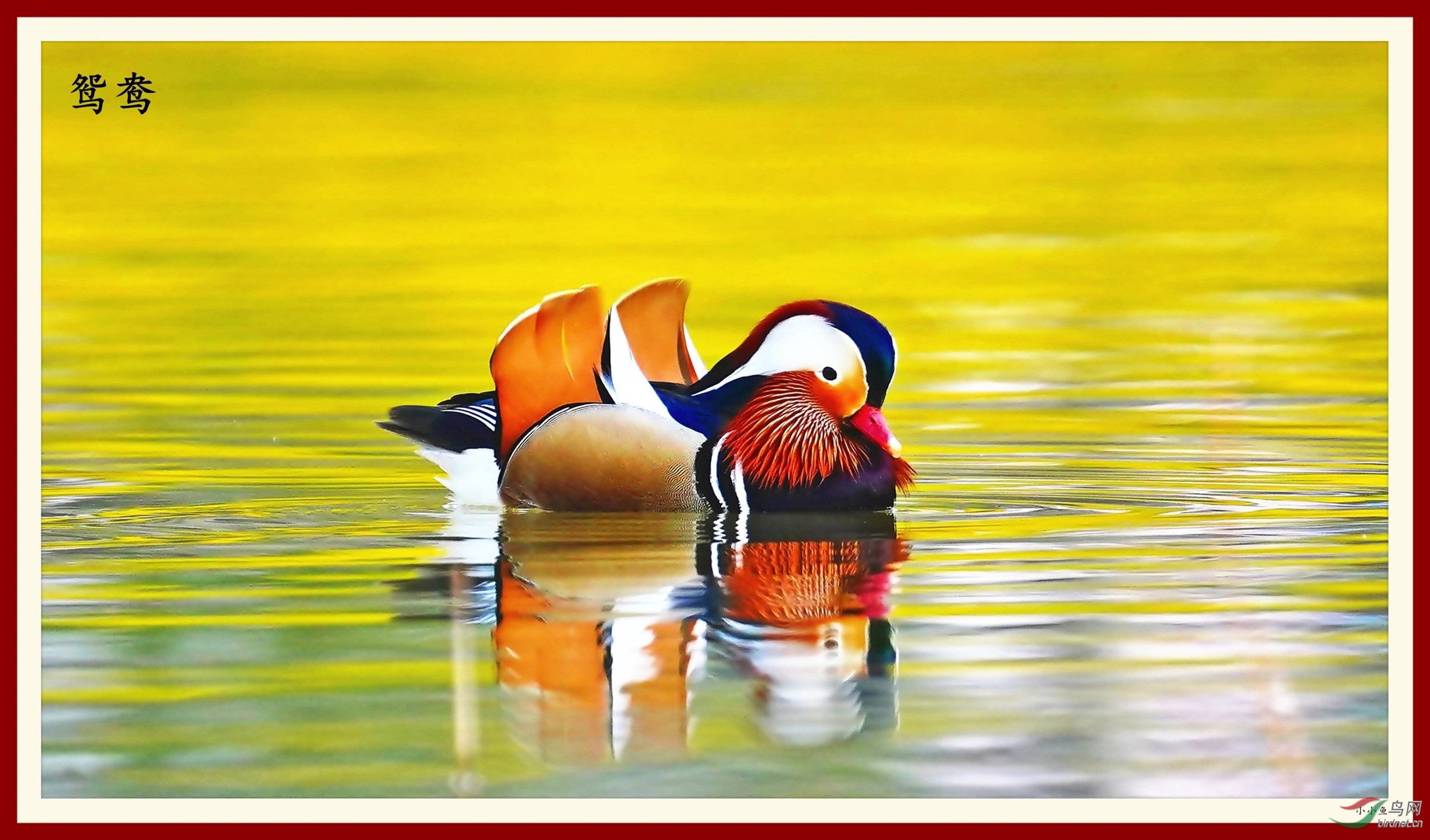 DSC04068 (2)_����.jpg