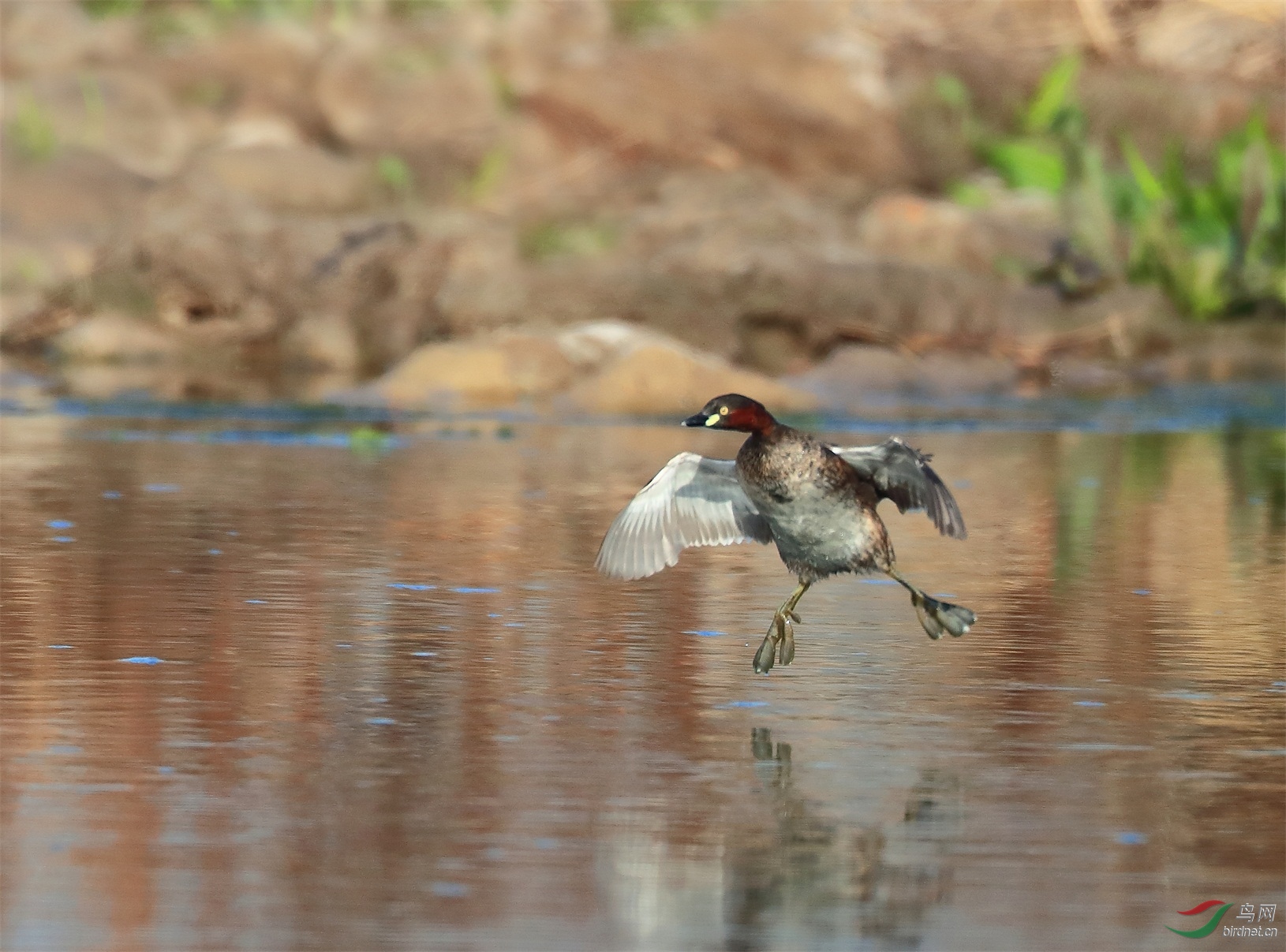 1 - ����.JPG