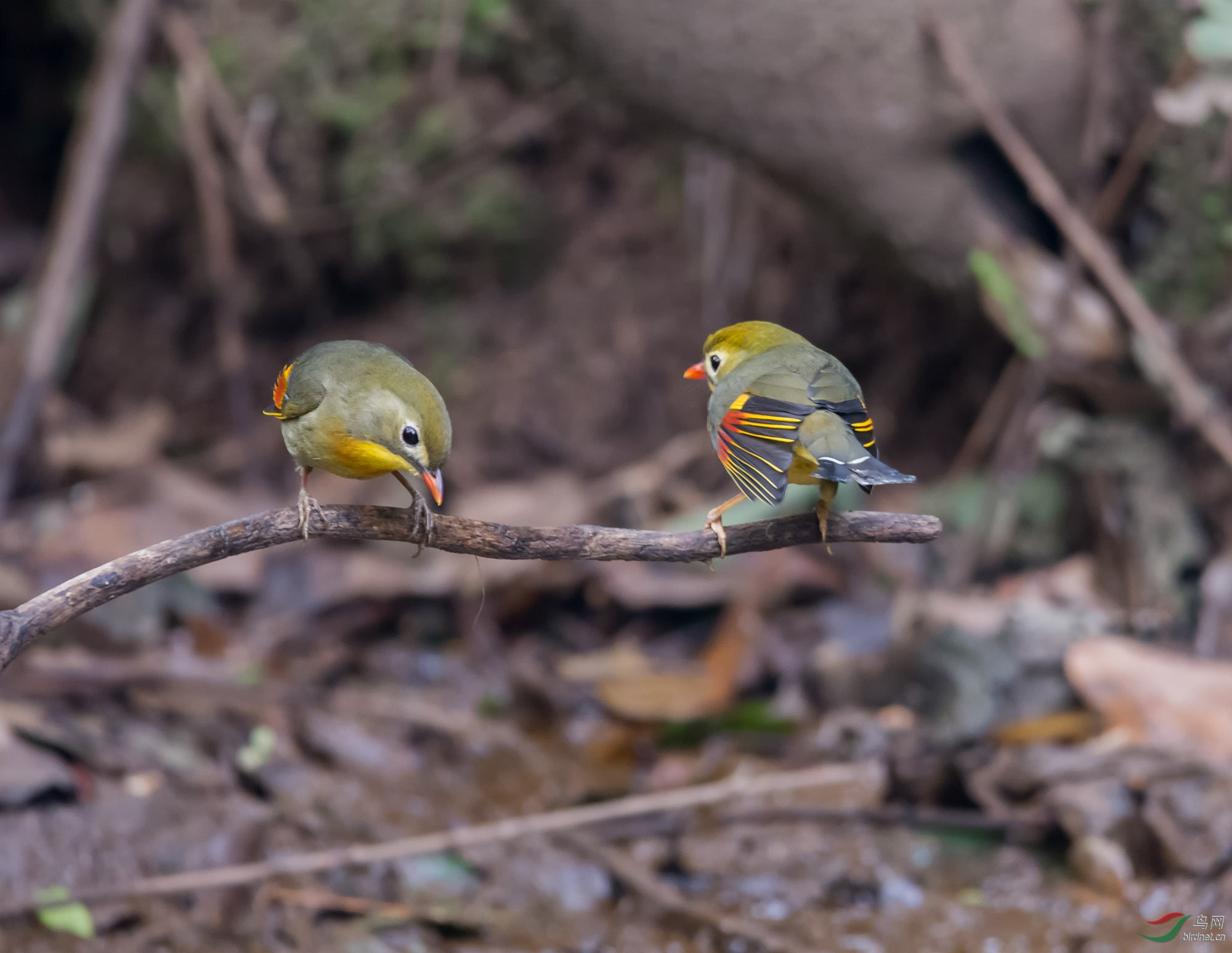 DSC_5478.jpg