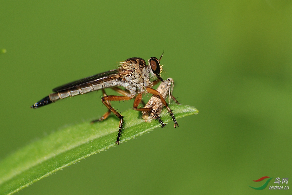 DSC_0714.JPG