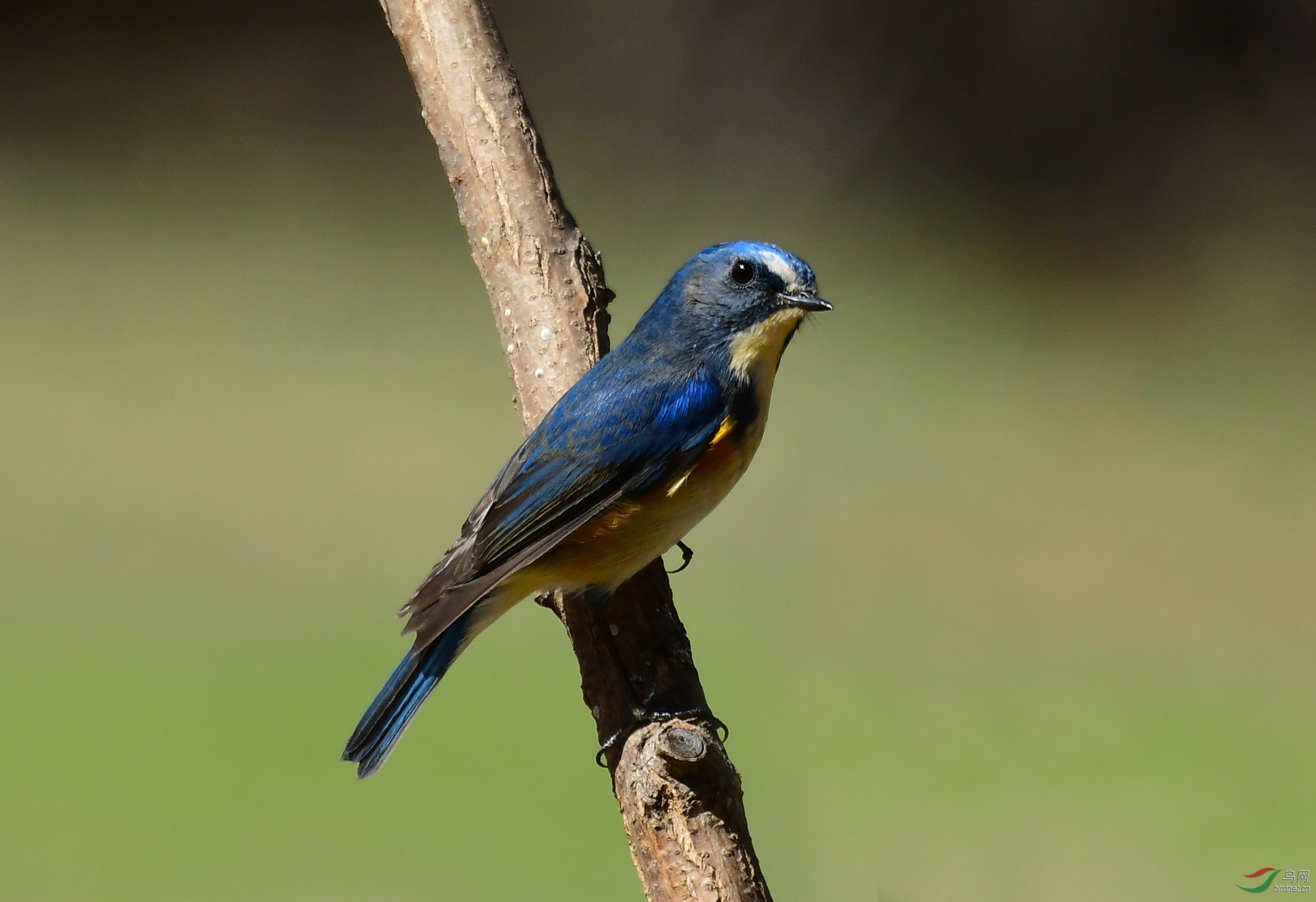 DSC_4420.JPG