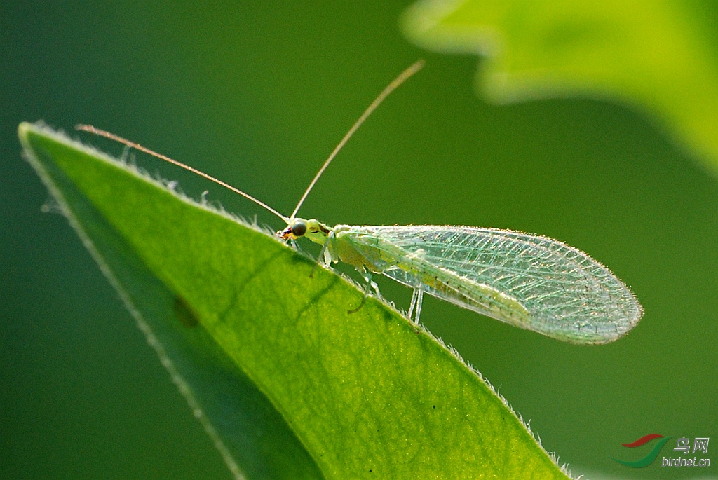 DSC_0233.JPG