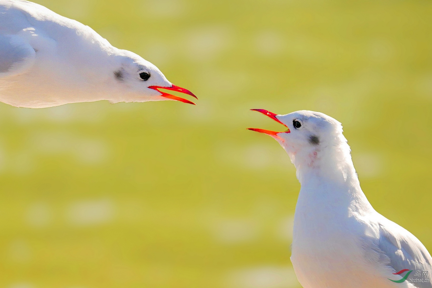 202021.��ů������