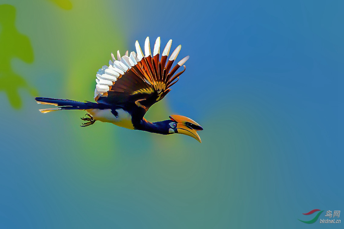 224032innbaehn9j89nwjw_����_���� (2)_����.jpg