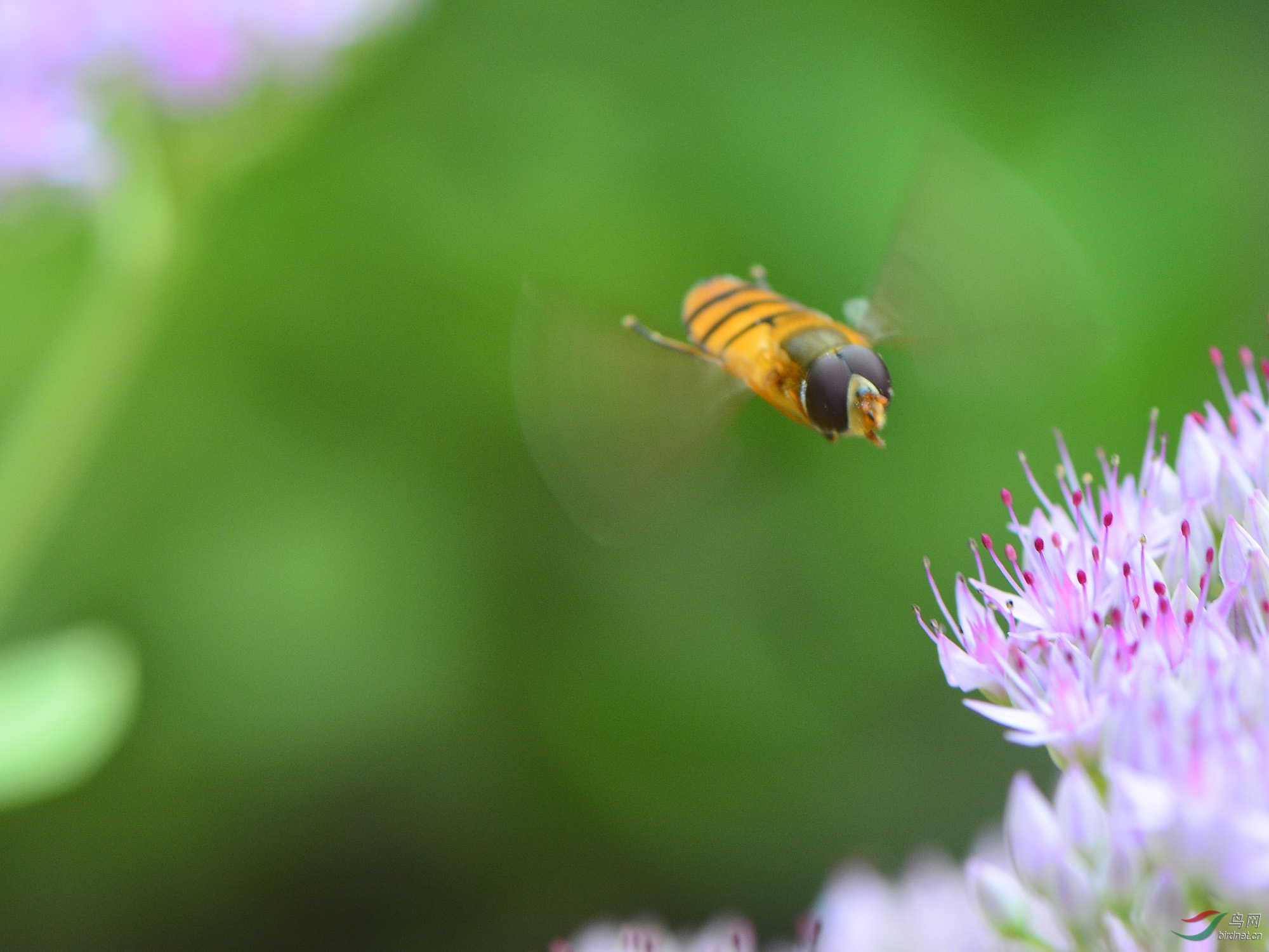 ������Ӱ 2860����.jpg