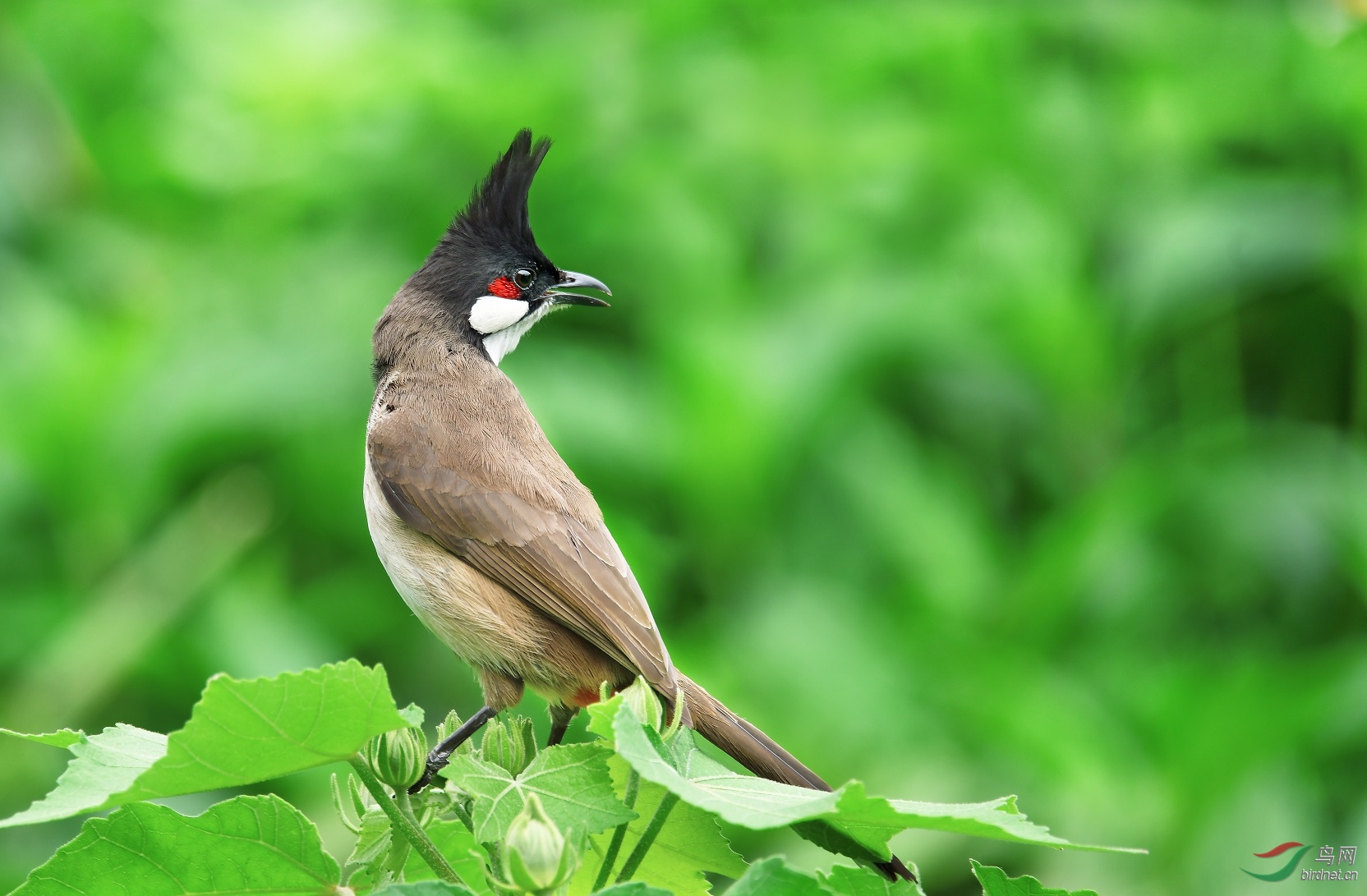 DSC_3010.jpg