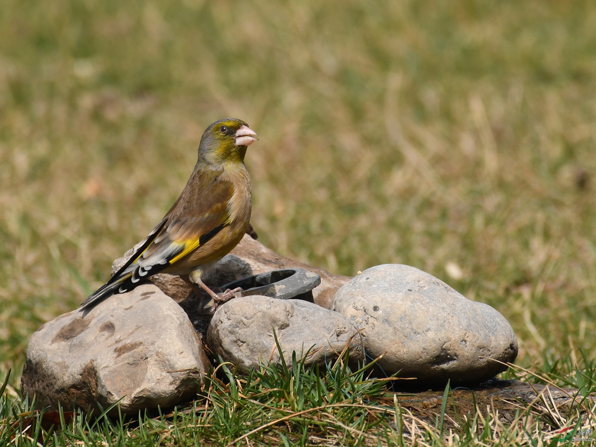 ������Ӱ 2396����.jpg