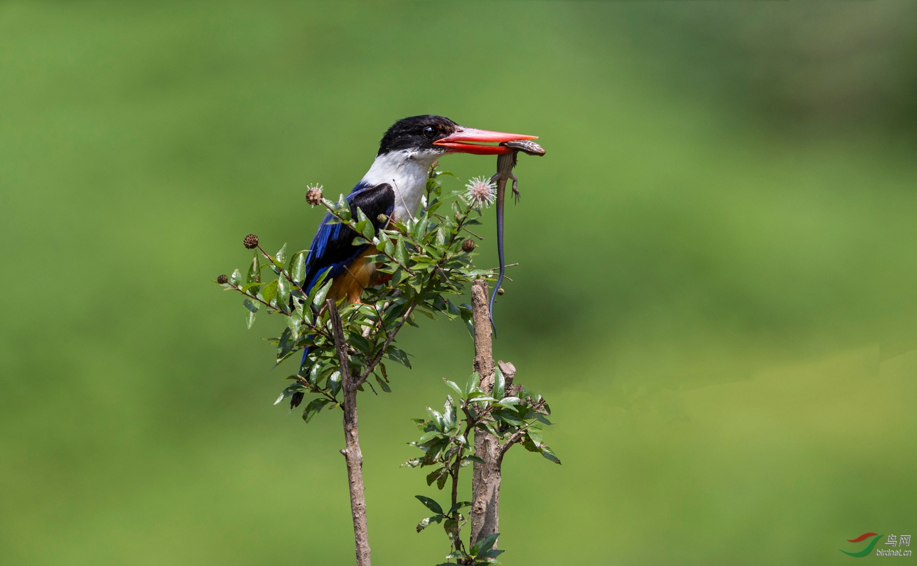 BW4Q8722 - ����.jpg