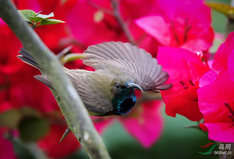 չ��---�ڸ�������