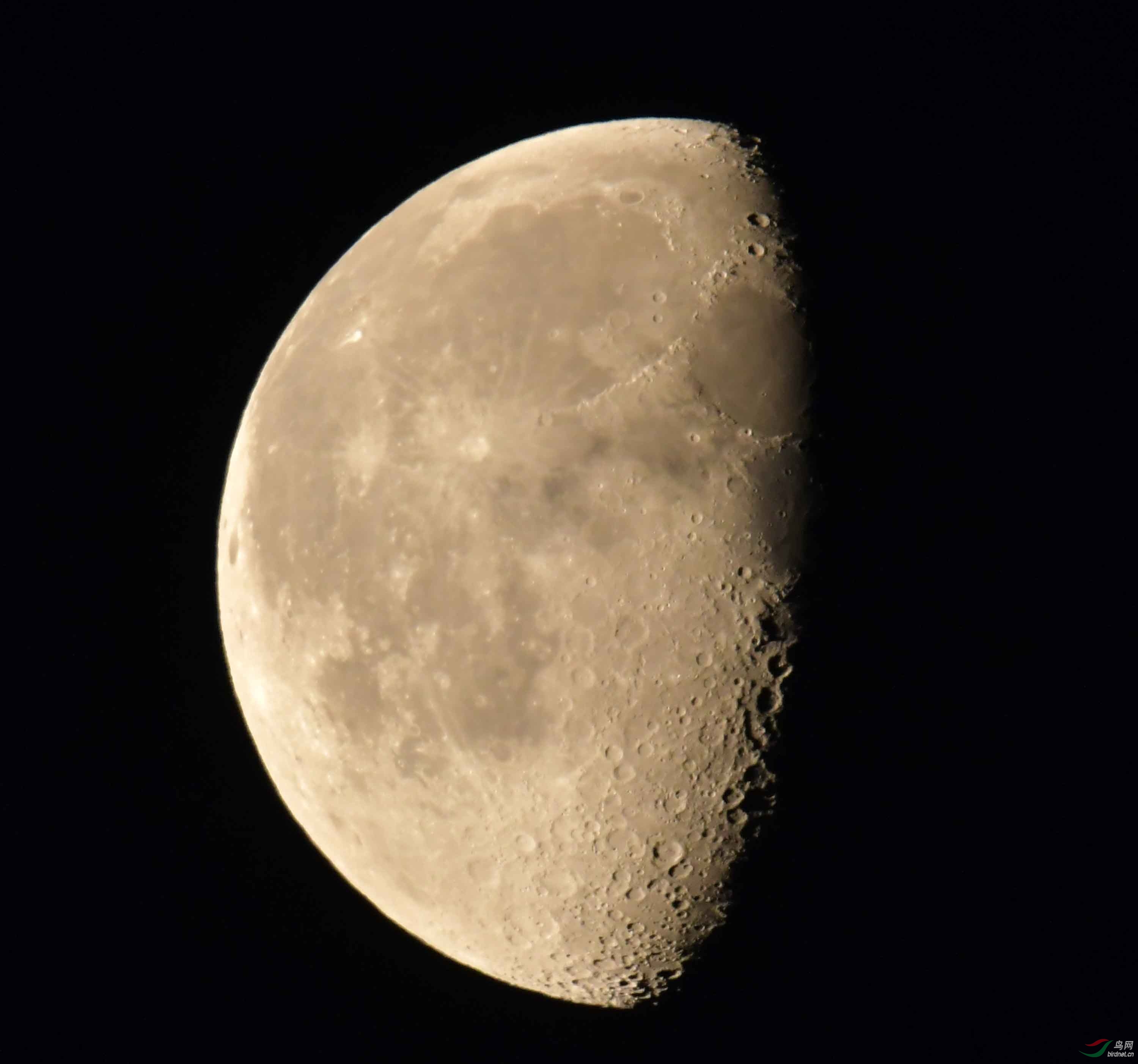 即将落下的月亮(摄于北京)