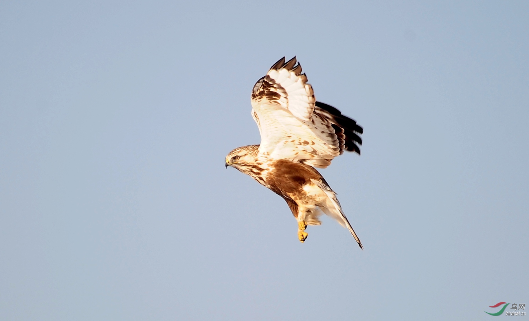 DSC_3653.JPG