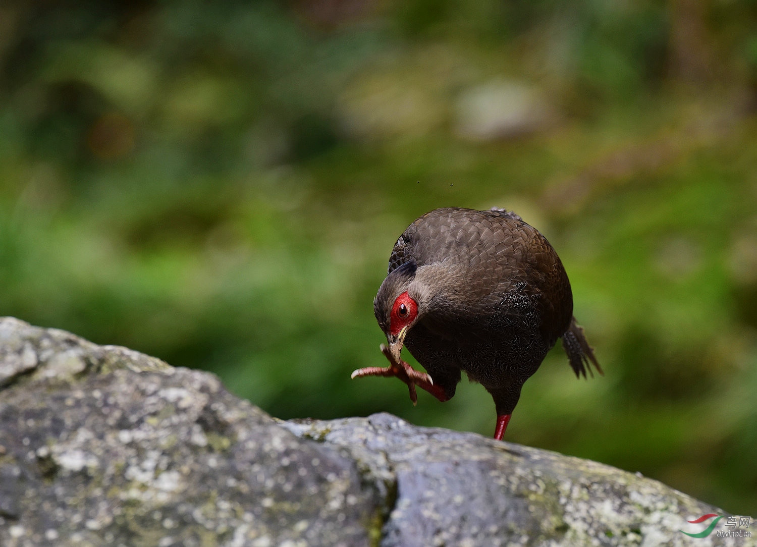 D8I_0552.jpg