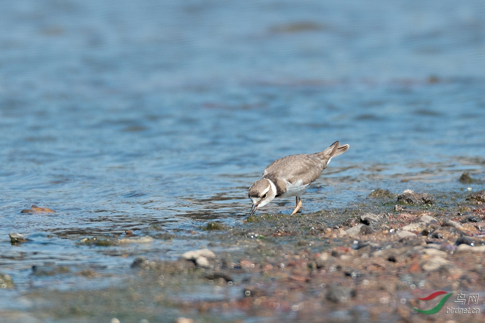 DSC_0903.jpg